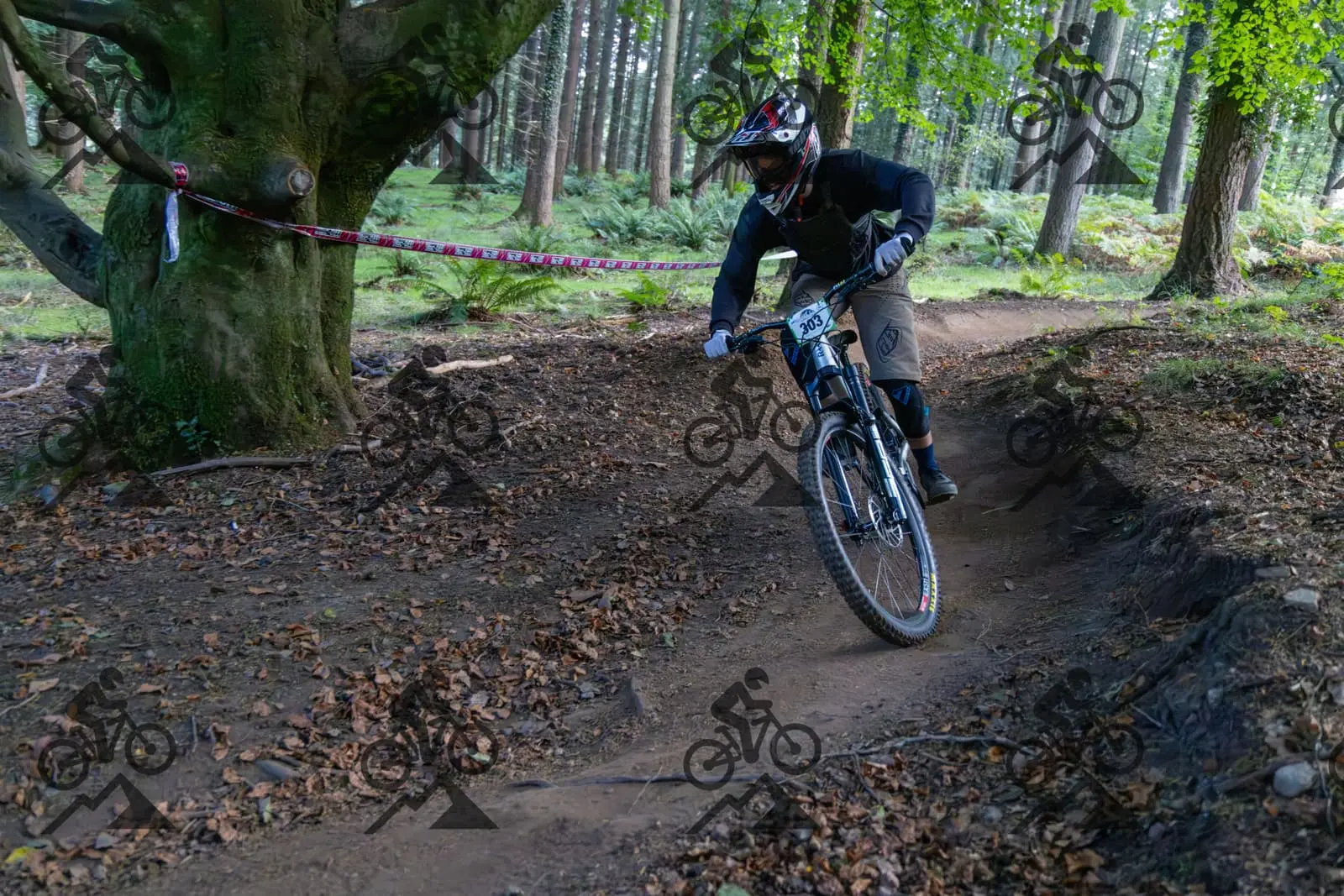 mountain bike photo at Forest of Dean Cycle Centre