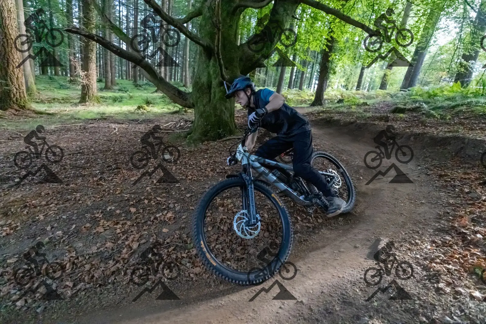 mountain bike photo at Forest of Dean Cycle Centre