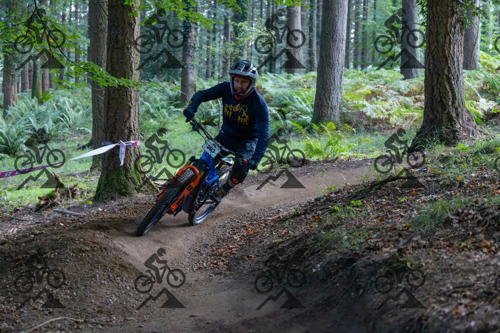 mountain bike photo at Forest of Dean Cycle Centre