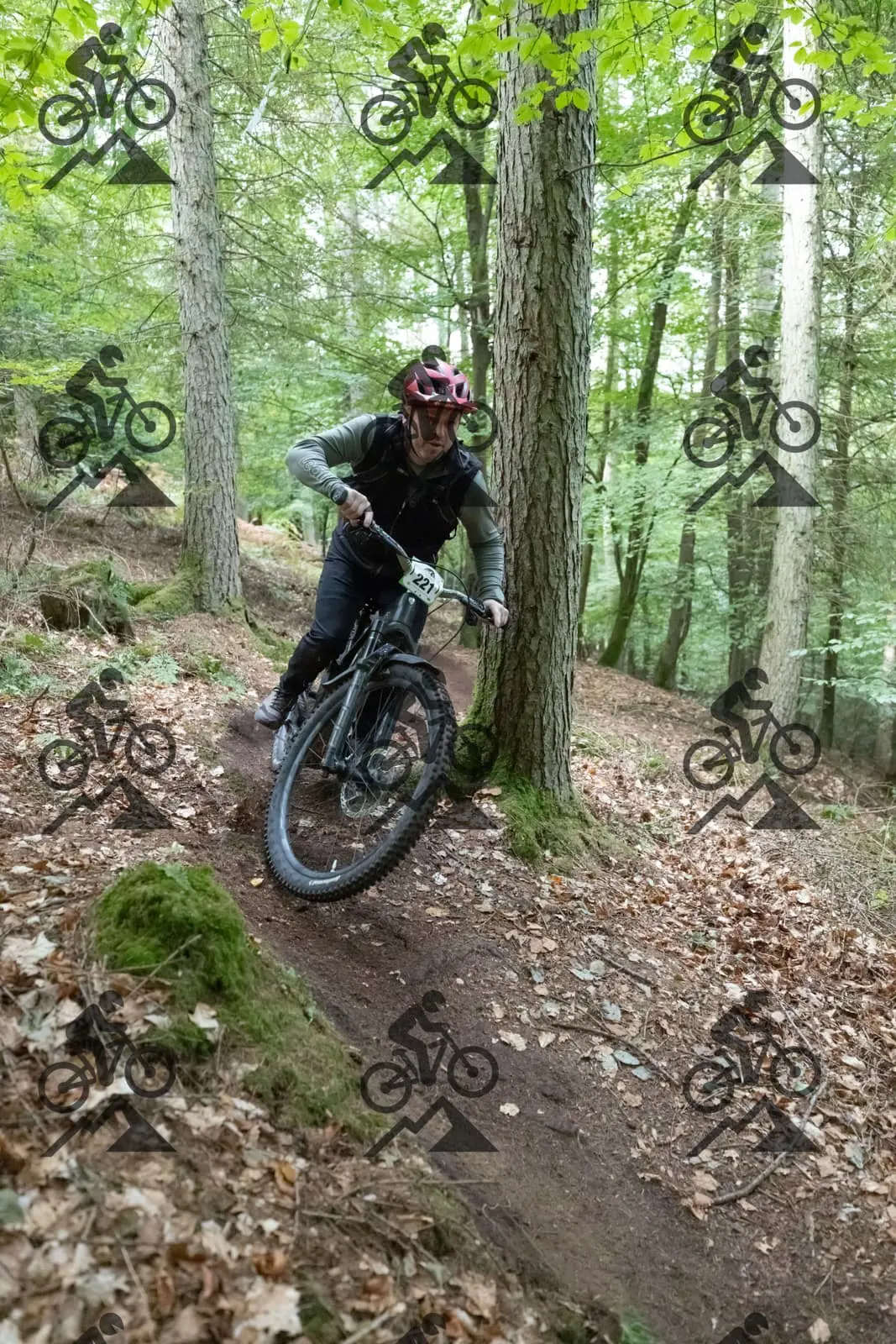 mountain bike photo at Forest of Dean Cycle Centre