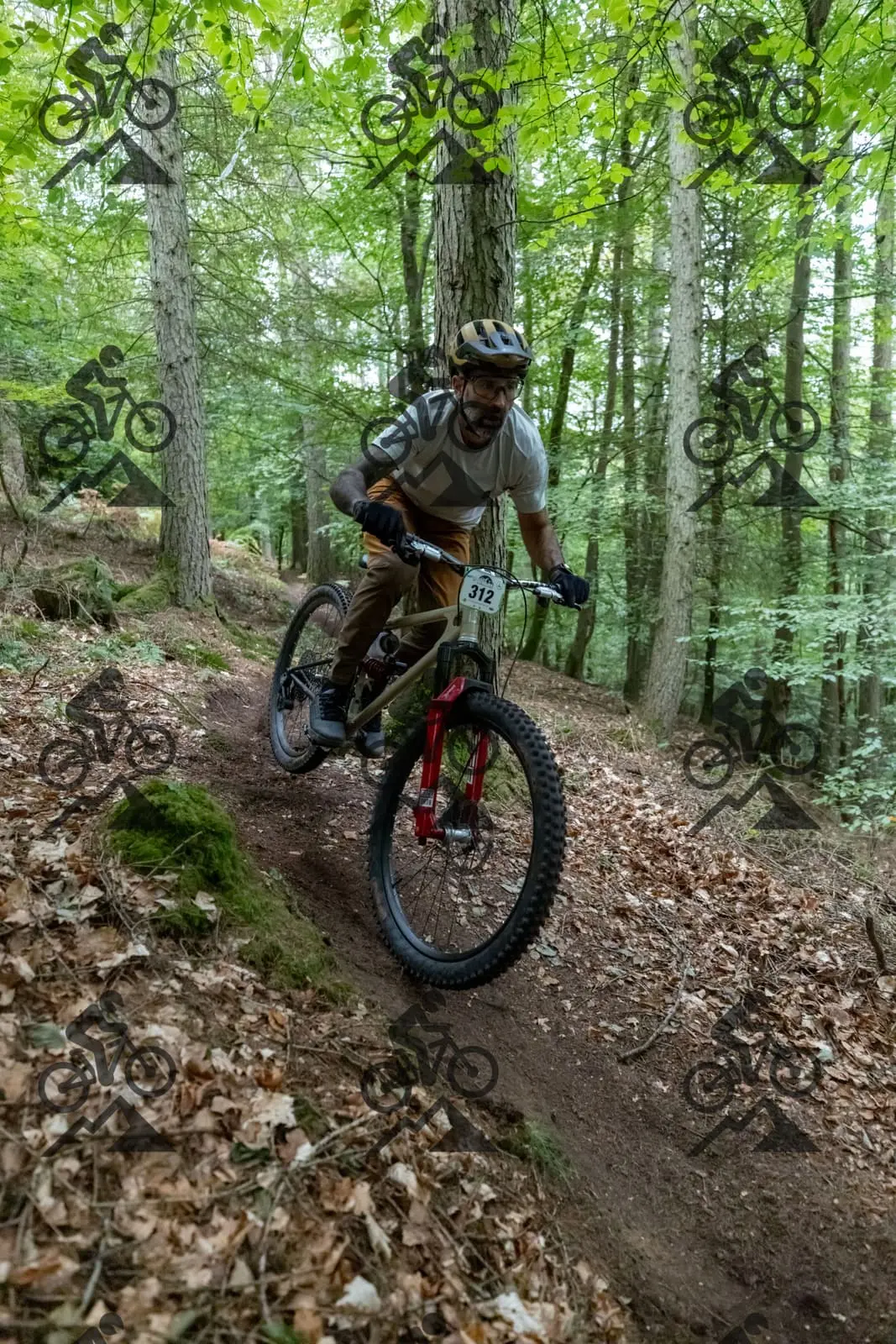 mountain bike photo at Forest of Dean Cycle Centre