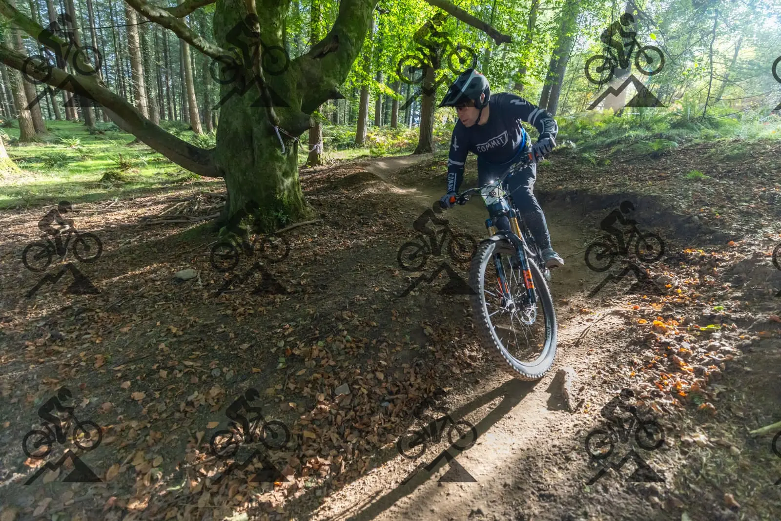 mountain bike photo at Forest of Dean Cycle Centre