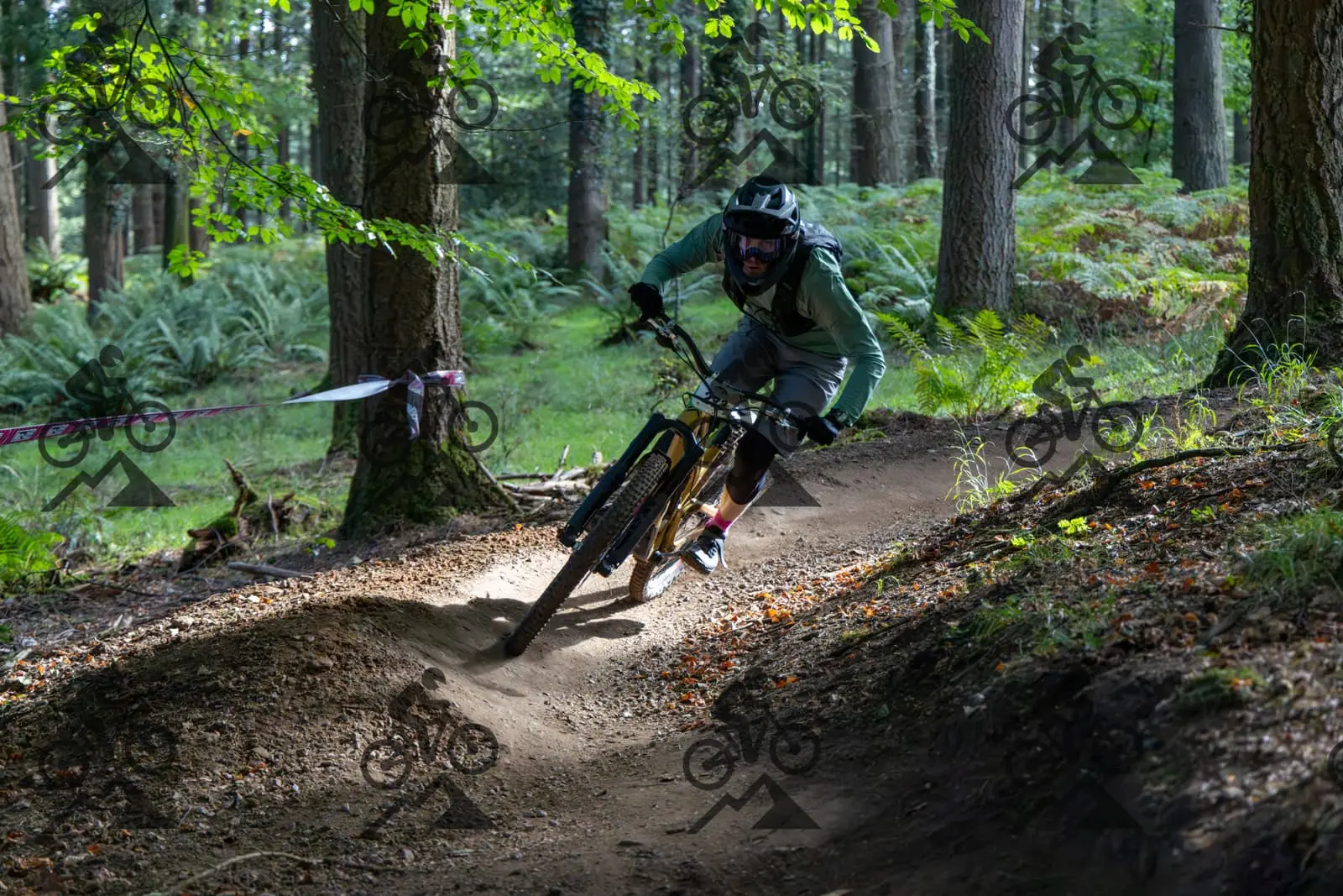 mountain bike photo at Forest of Dean Cycle Centre