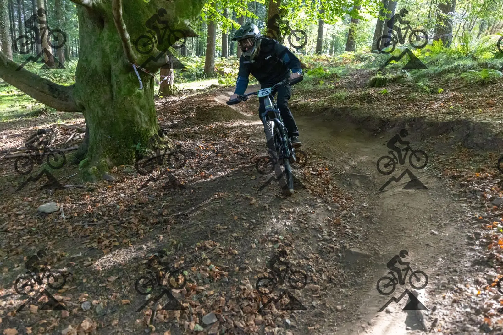 mountain bike photo at Forest of Dean Cycle Centre