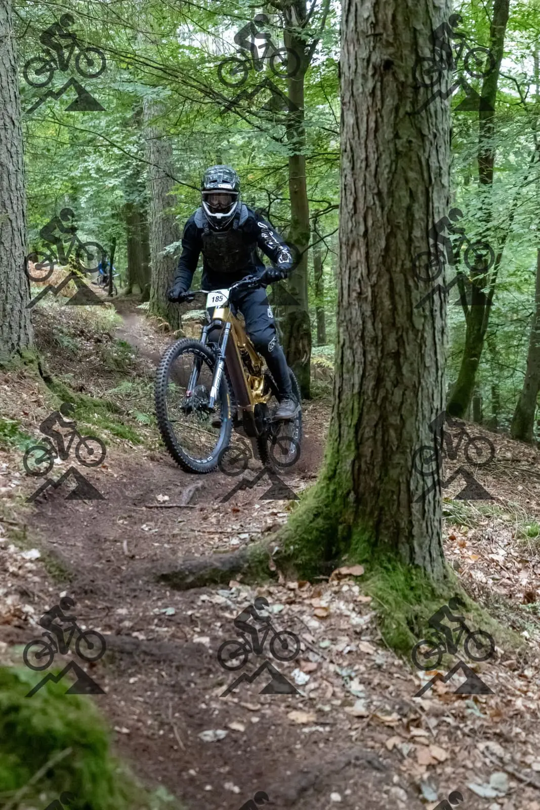 mountain bike photo at Forest of Dean Cycle Centre
