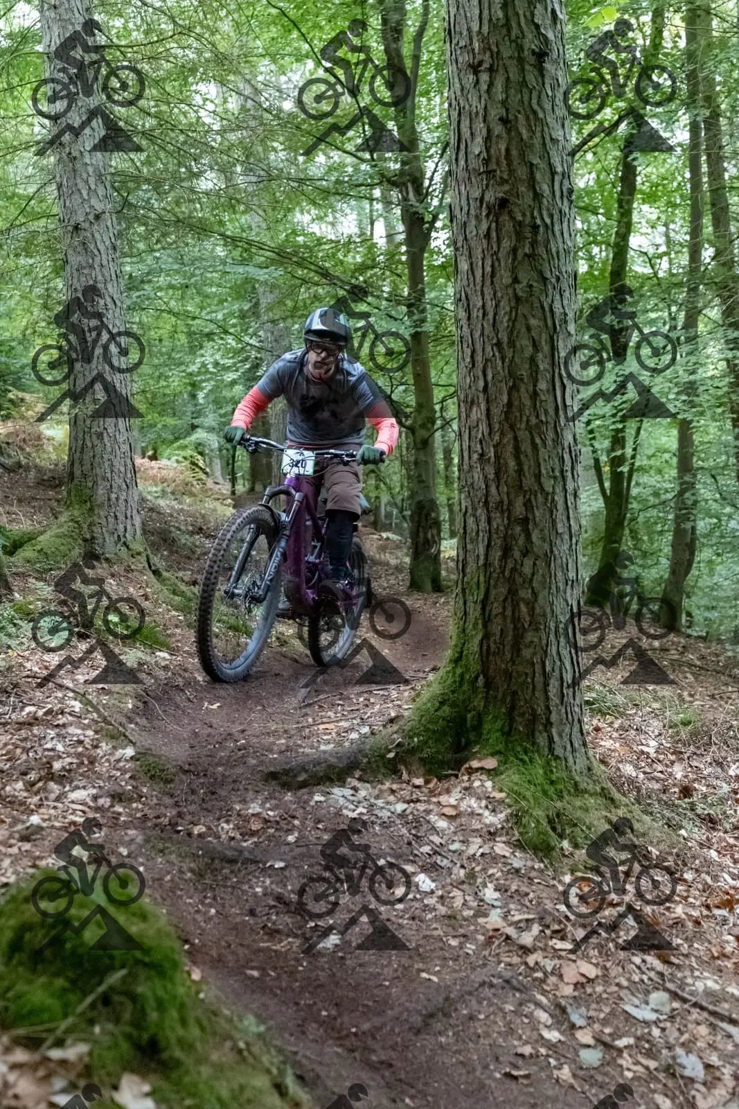 mountain bike photo at Forest of Dean Cycle Centre