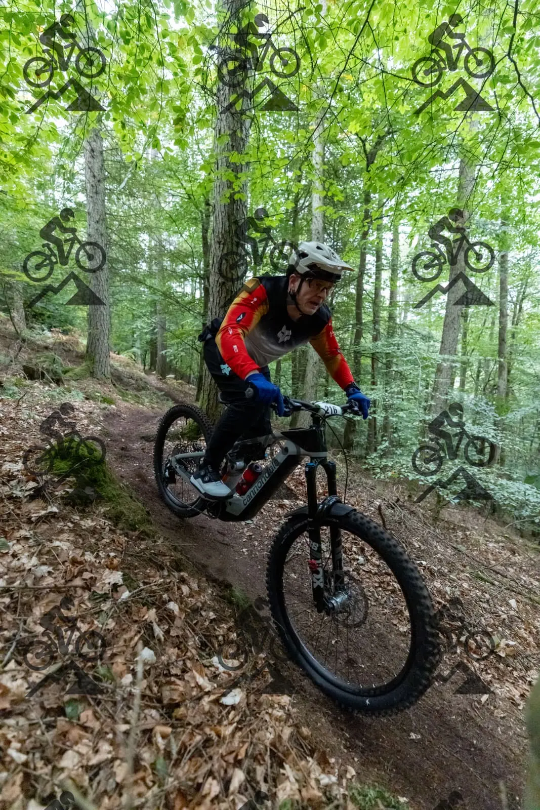 mountain bike photo at Forest of Dean Cycle Centre