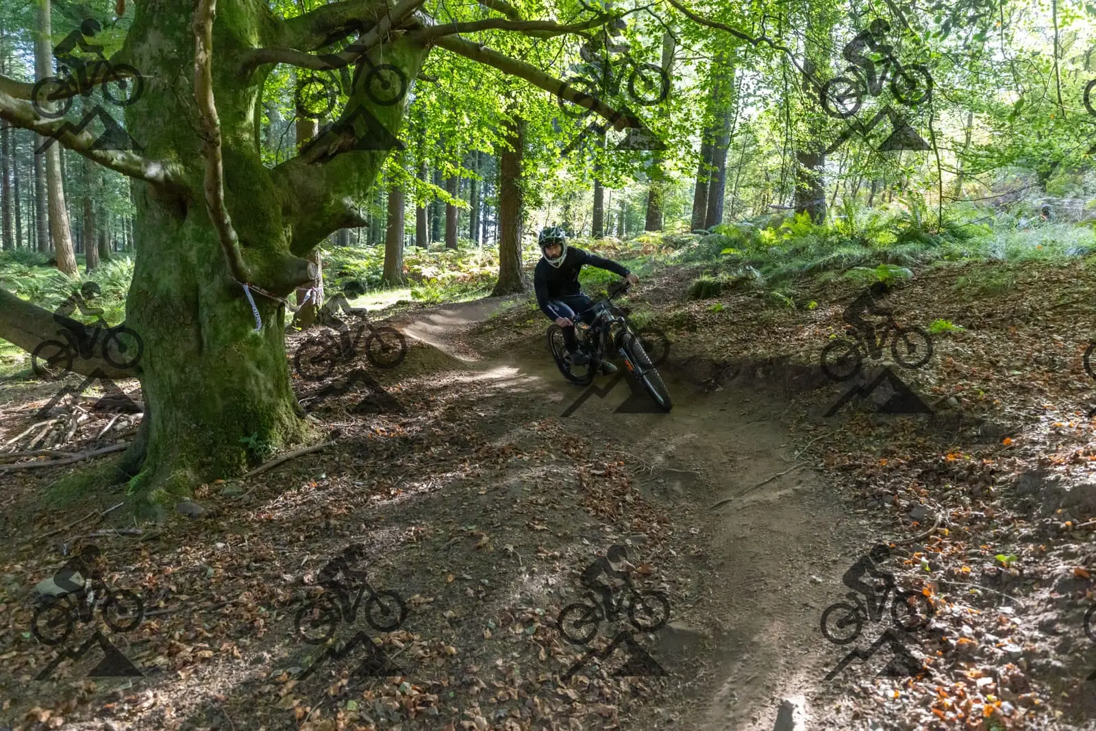 mountain bike photo at Forest of Dean Cycle Centre