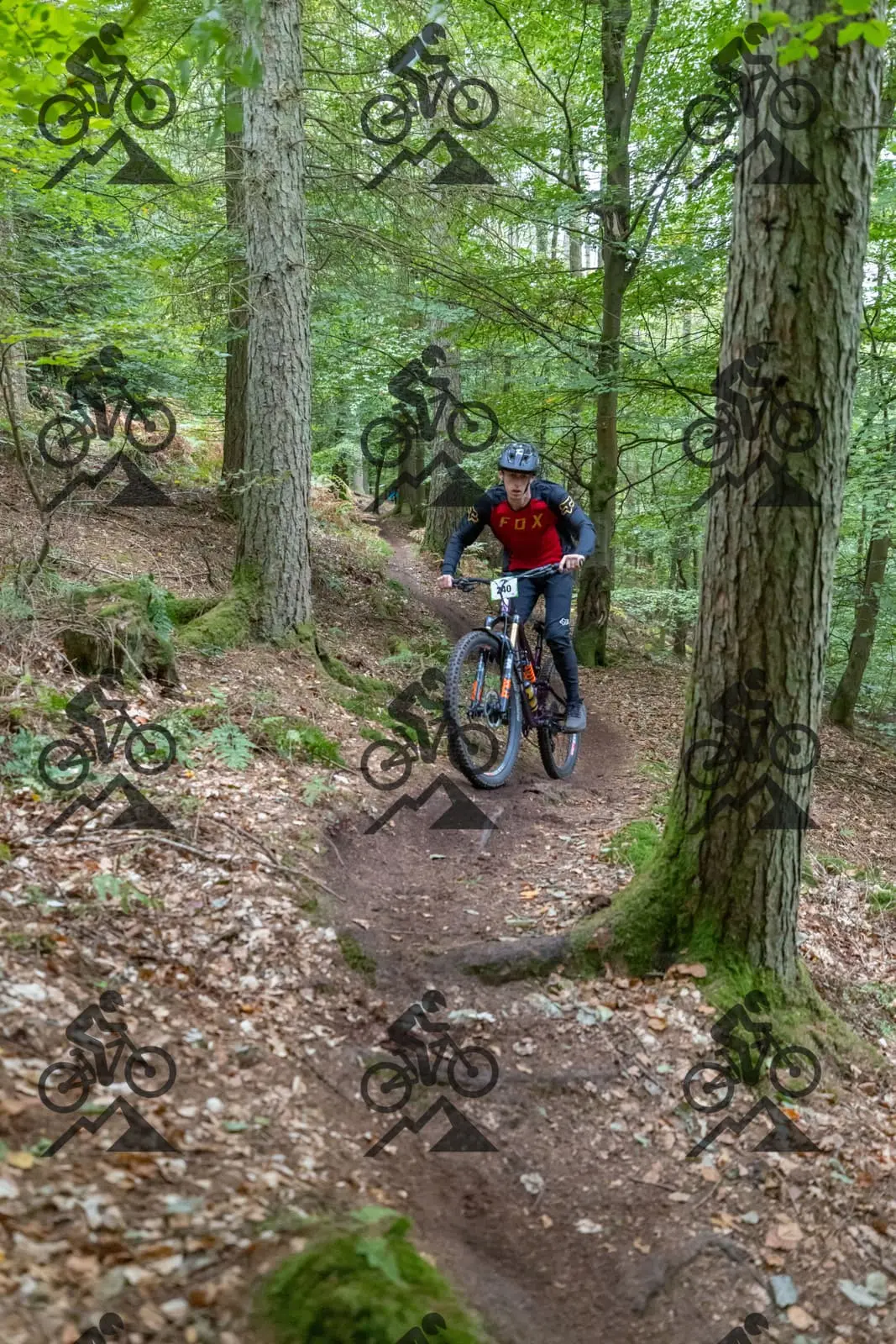 mountain bike photo at Forest of Dean Cycle Centre