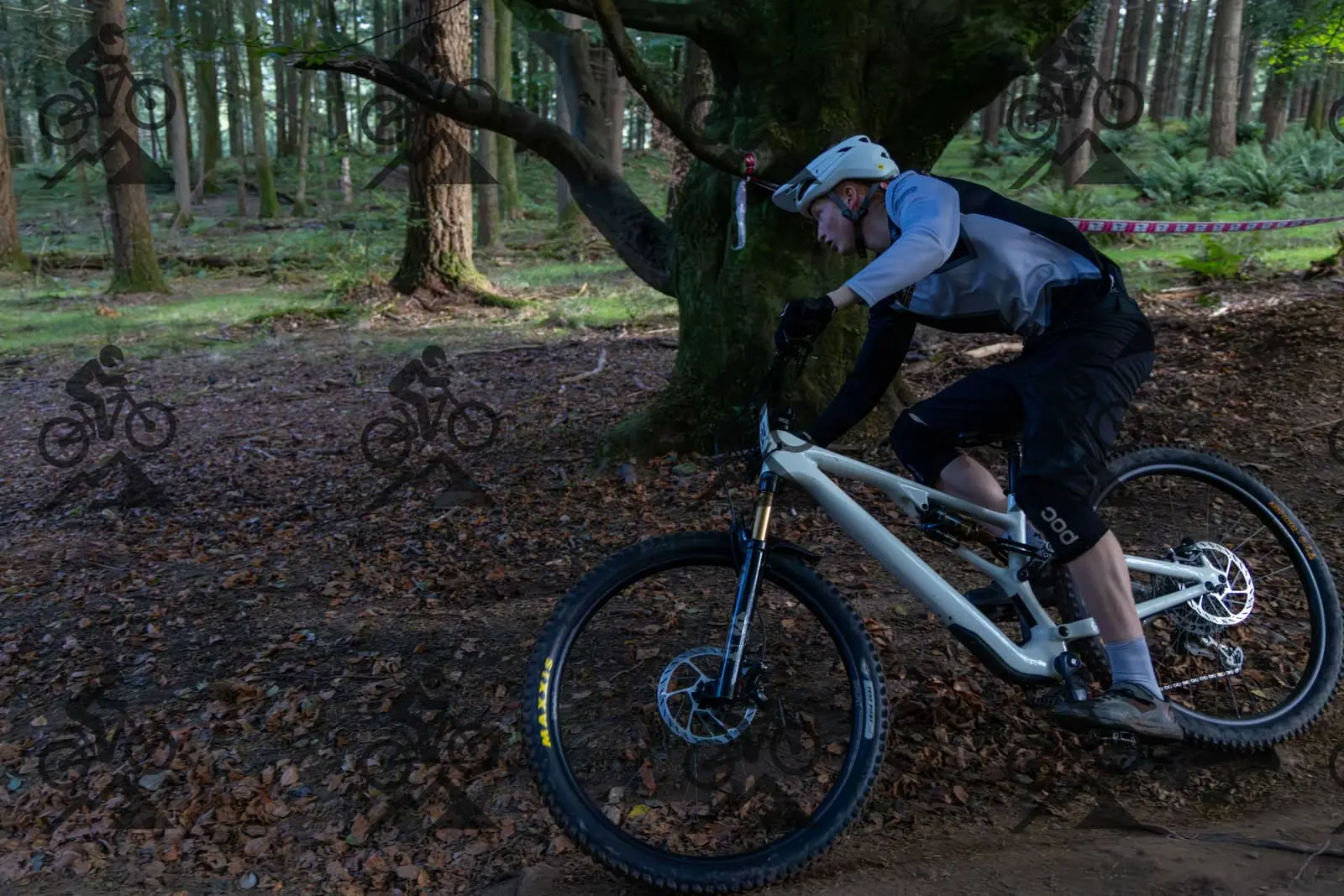 mountain bike photo at Forest of Dean Cycle Centre