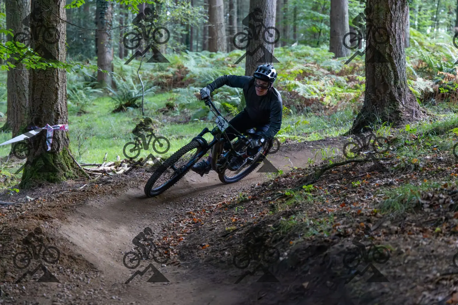 mountain bike photo at Forest of Dean Cycle Centre