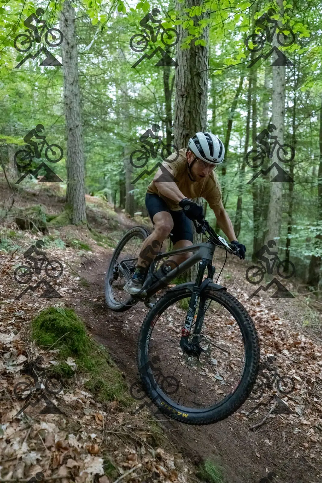 mountain bike photo at Forest of Dean Cycle Centre