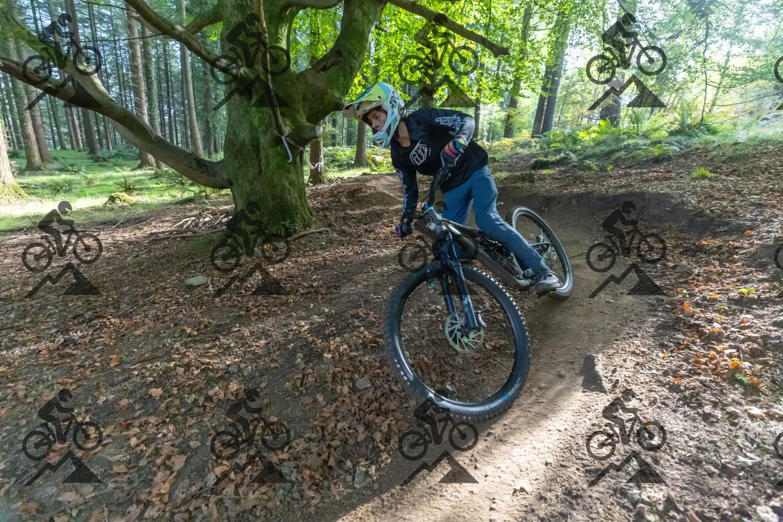 mountain bike photo at Forest of Dean Cycle Centre