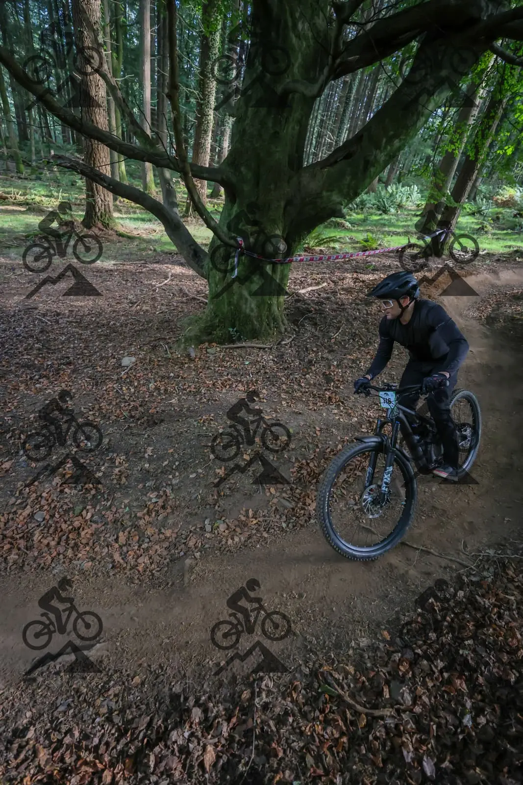 mountain bike photo at Forest of Dean Cycle Centre