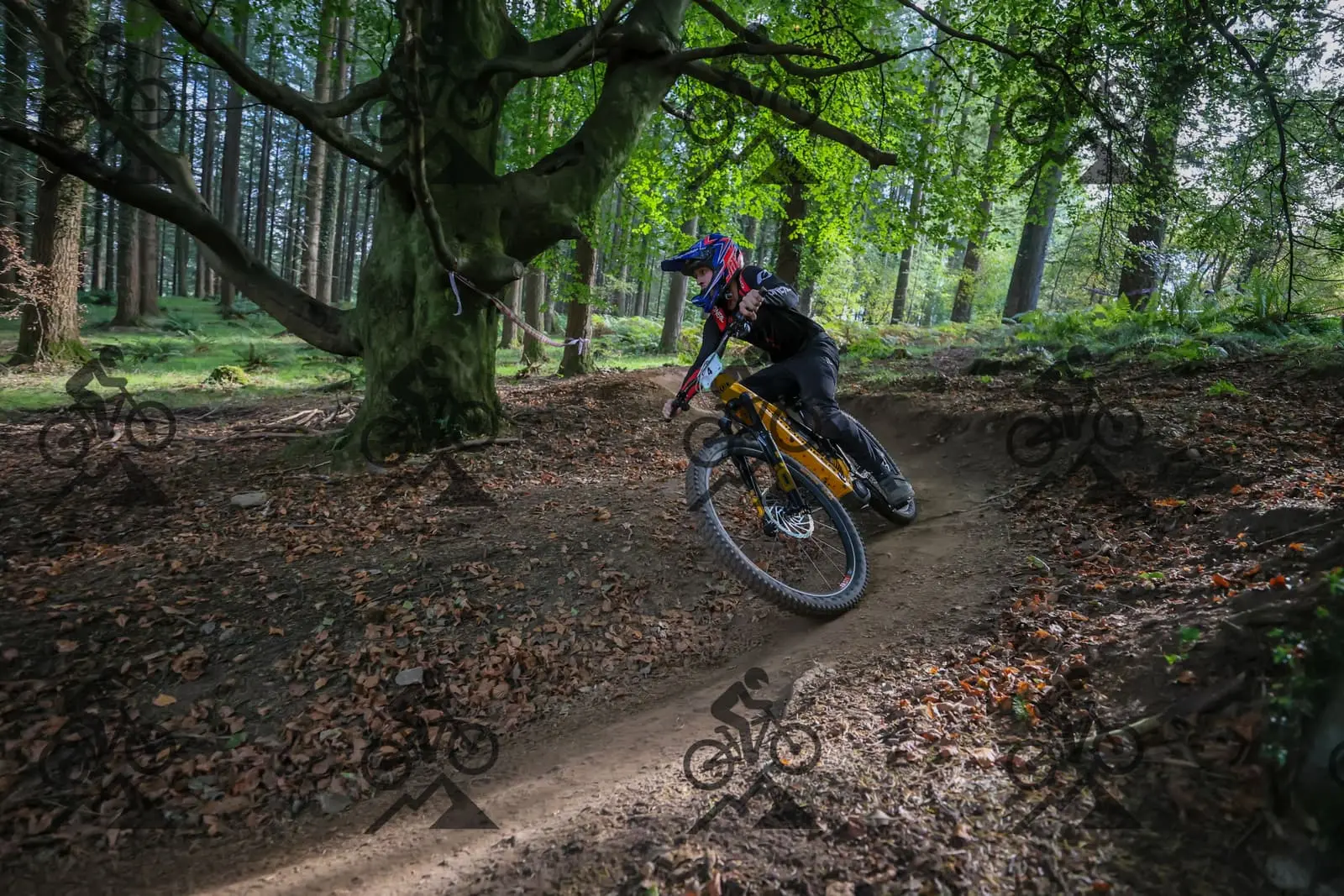 mountain bike photo at Forest of Dean Cycle Centre