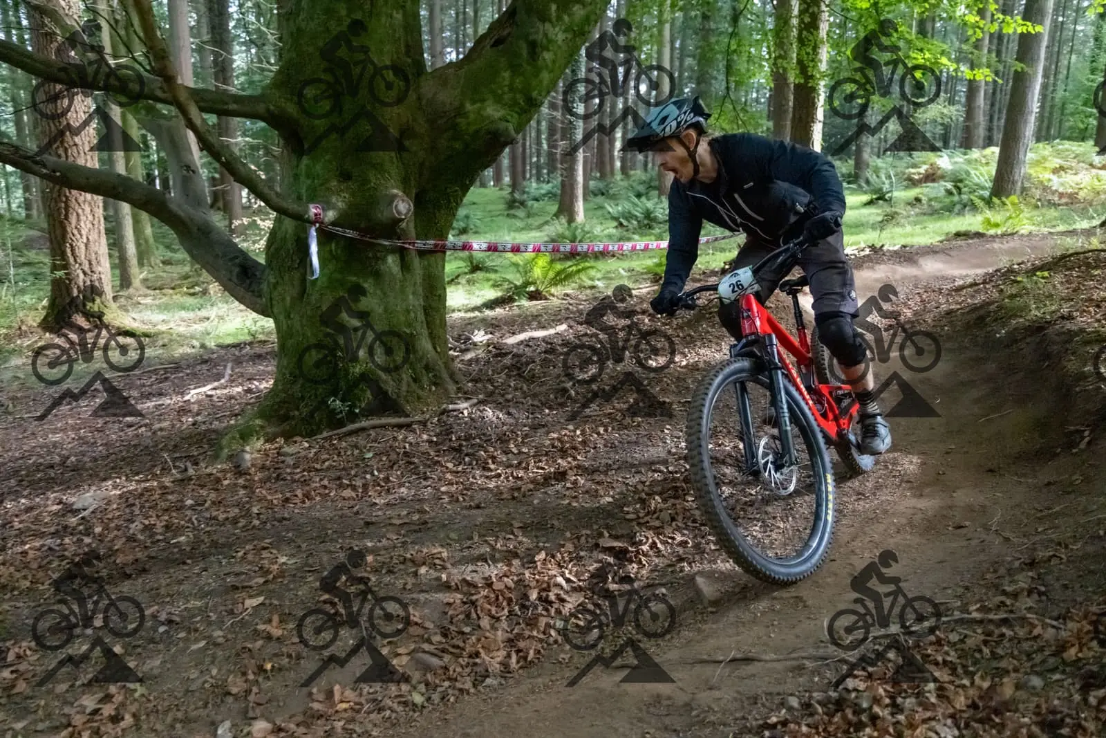 mountain bike photo at Forest of Dean Cycle Centre