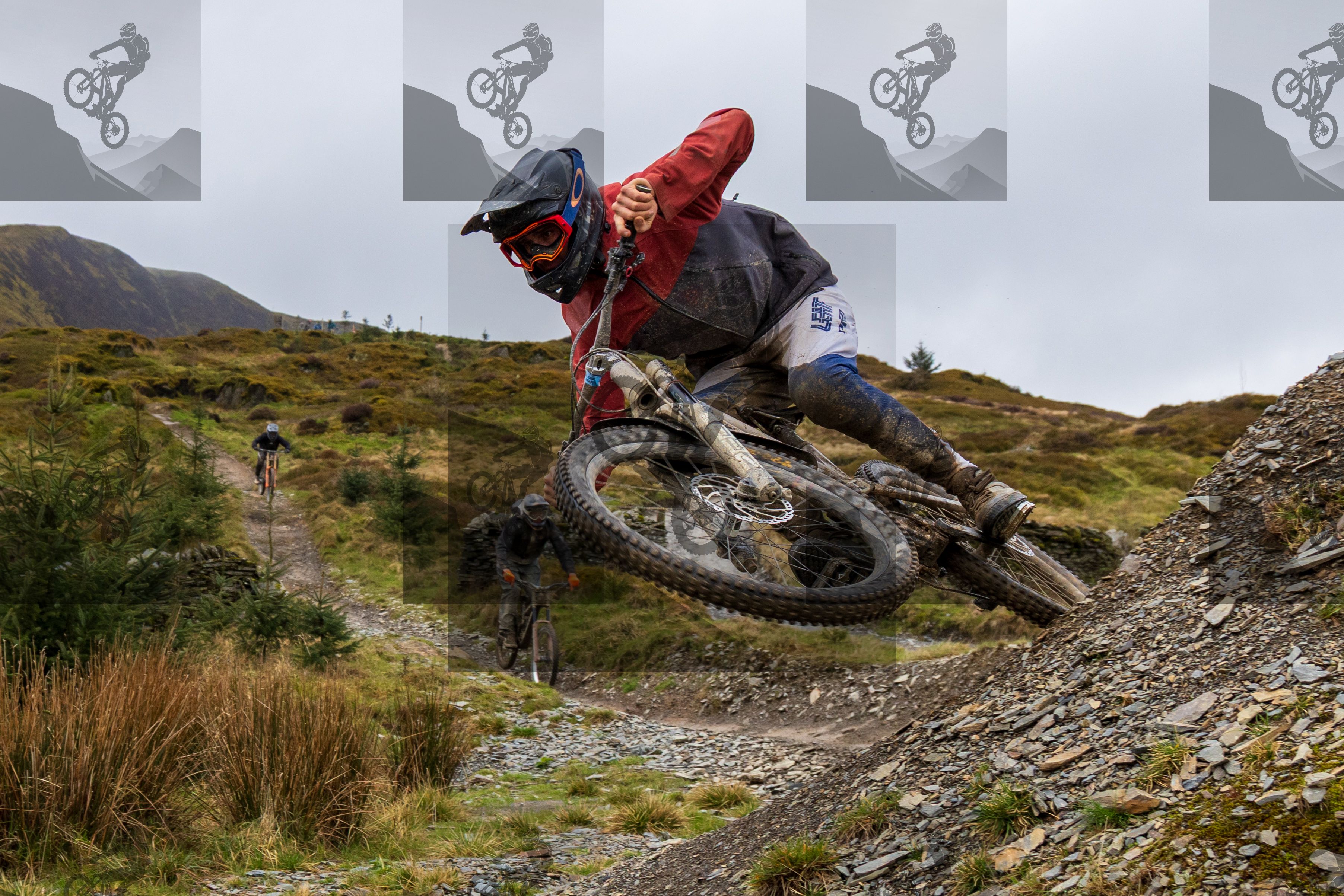mountain bike photo at Dyfi Bike Park