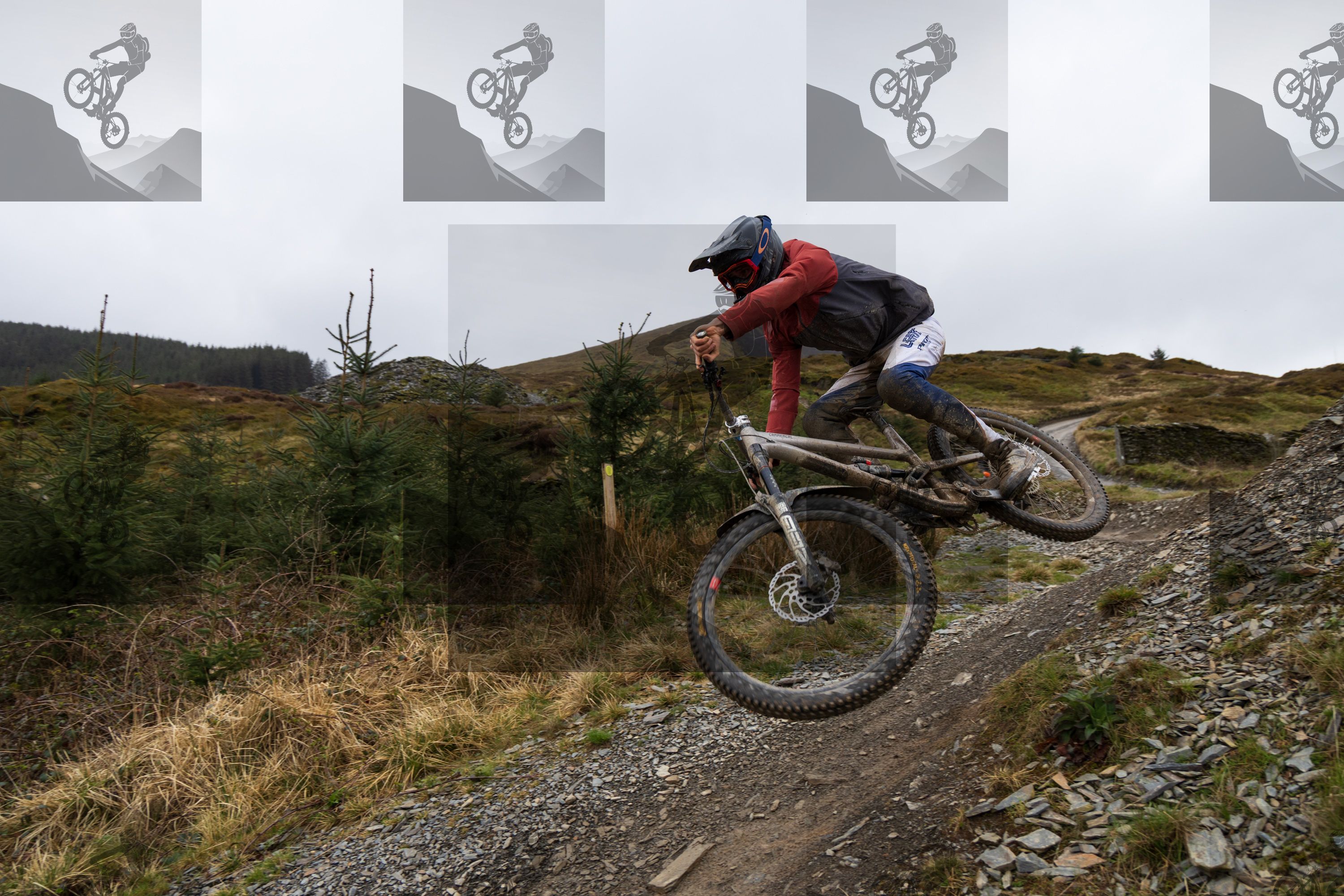 mountain bike photo at Dyfi Bike Park