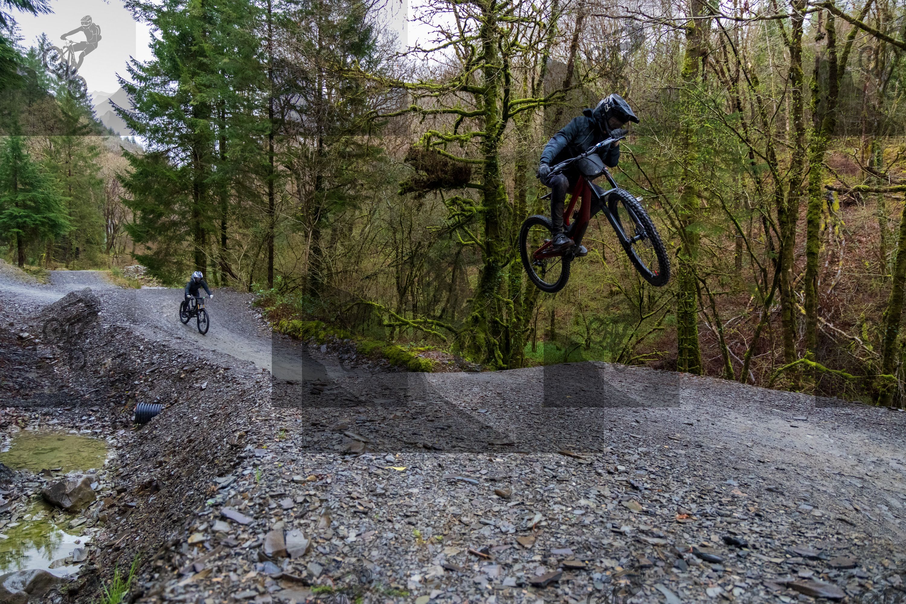 mountain bike photo at Dyfi Bike Park