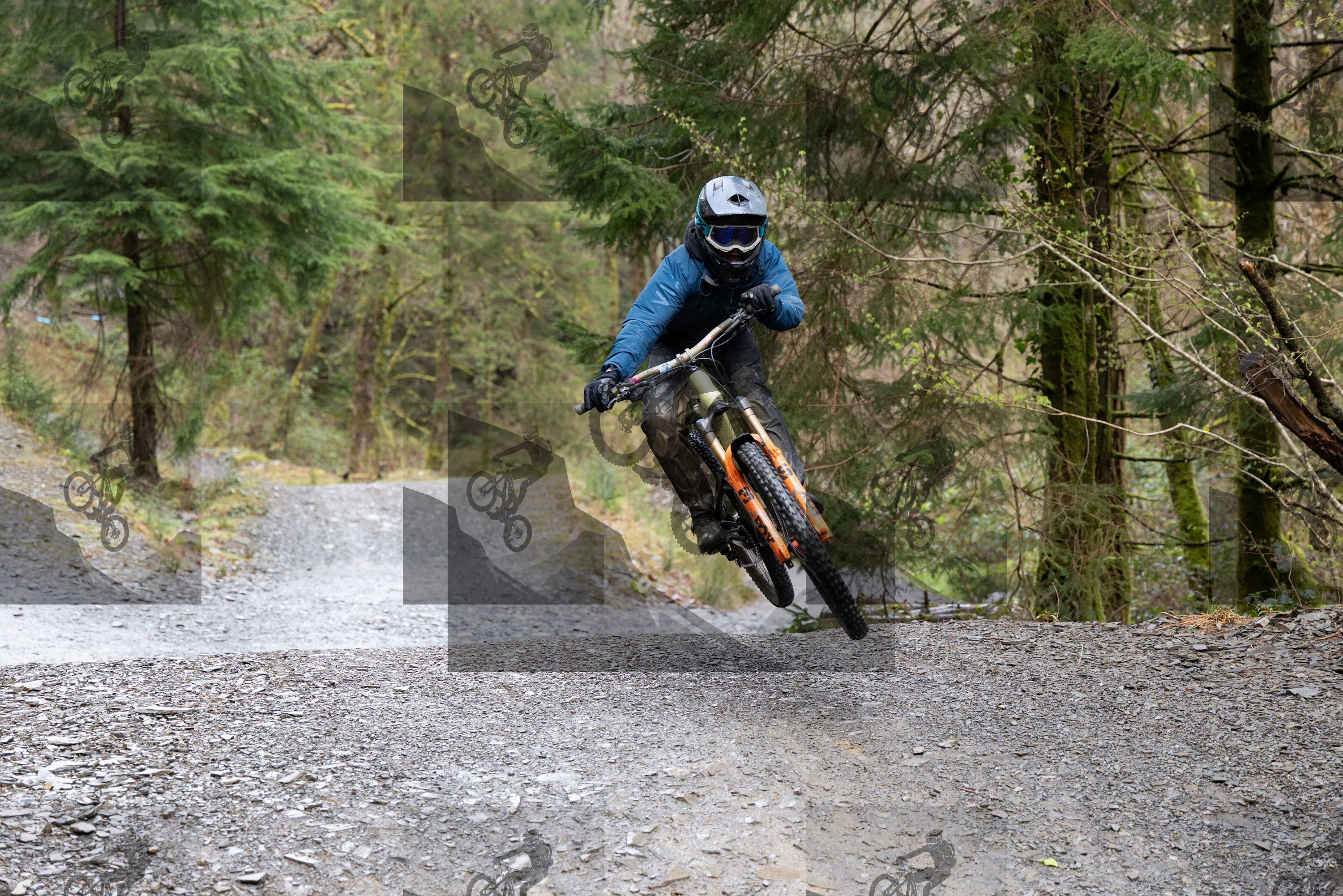 mountain bike photo at Dyfi Bike Park