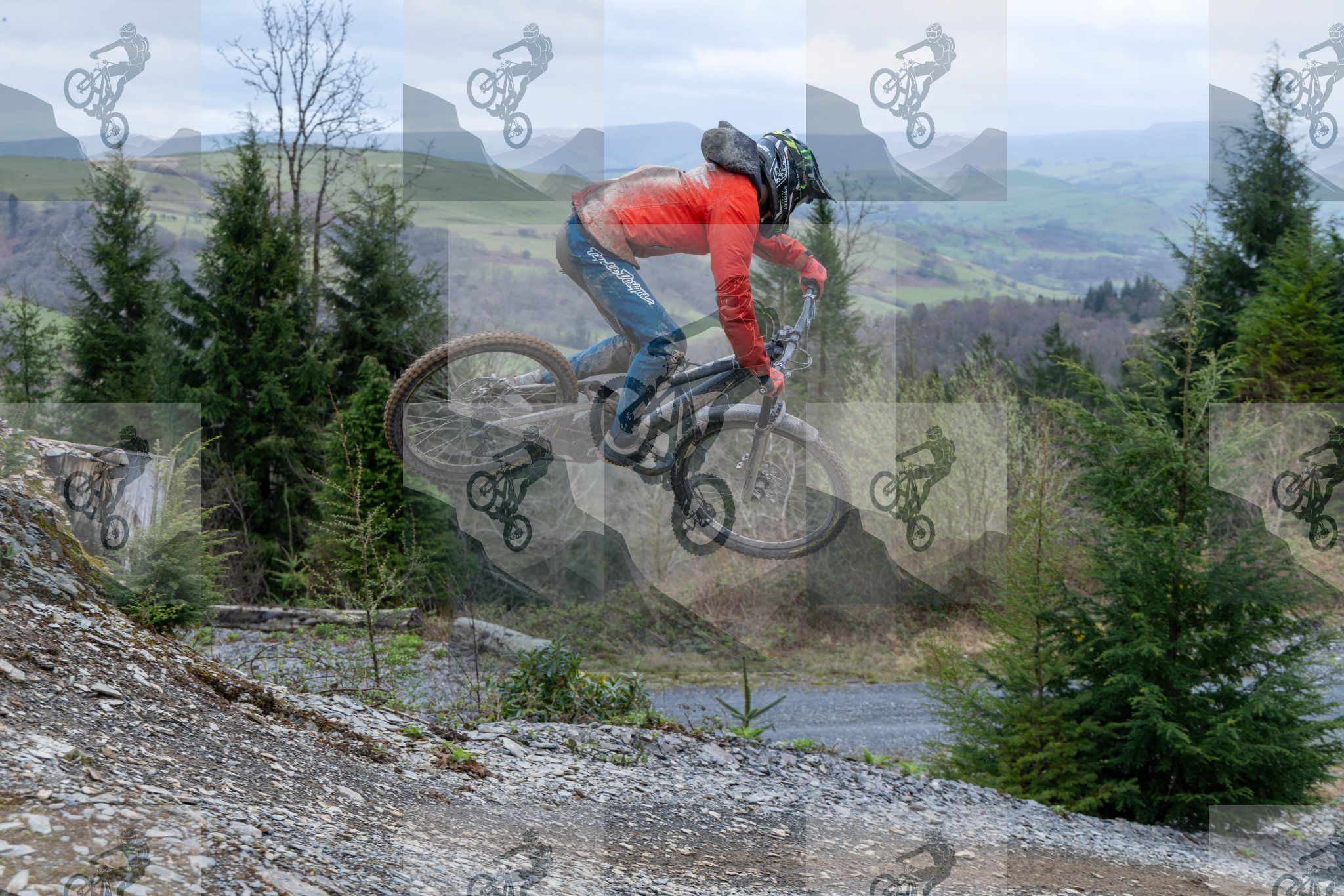 mountain bike photo at Dyfi Bike Park
