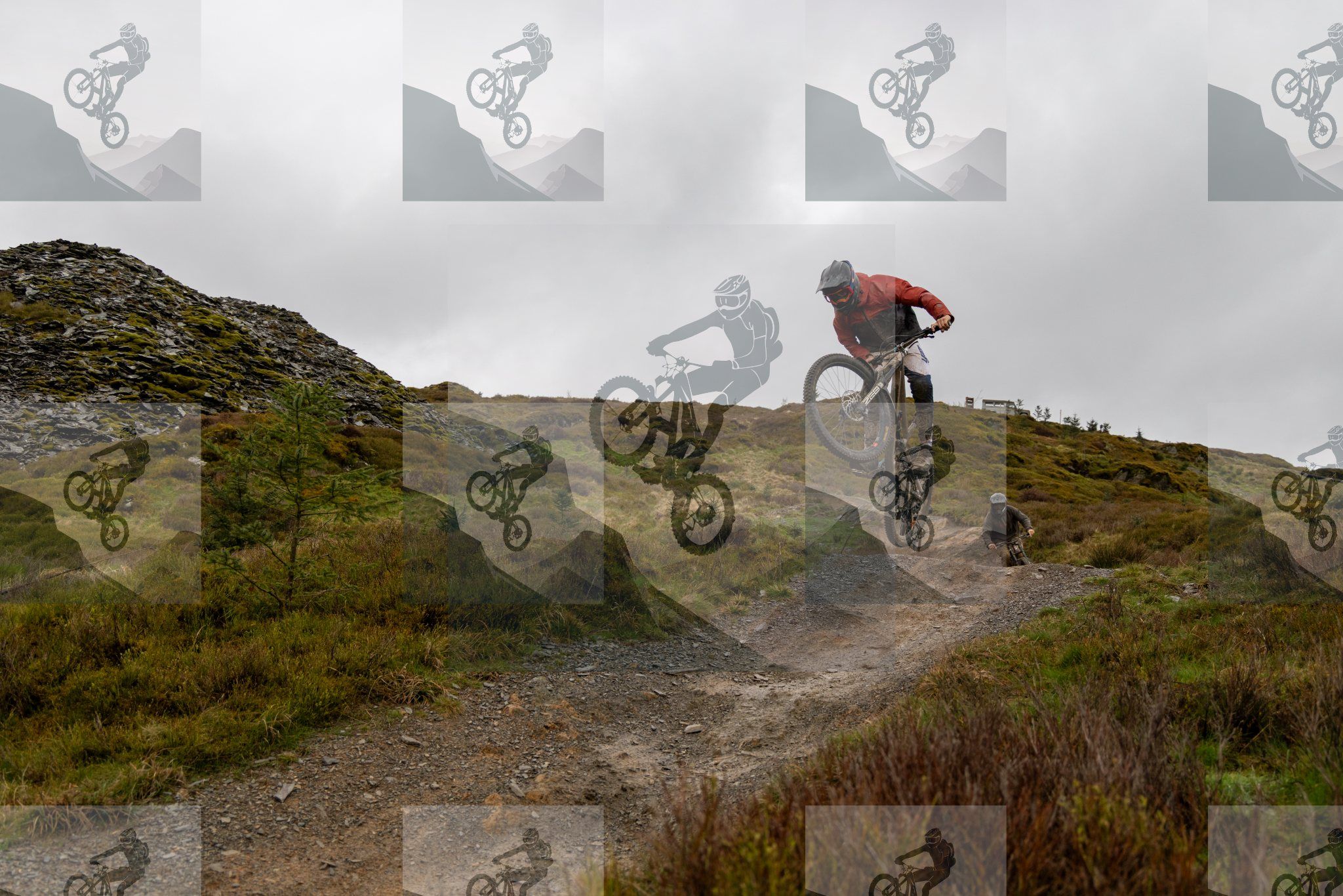 mountain bike photo at Dyfi Bike Park