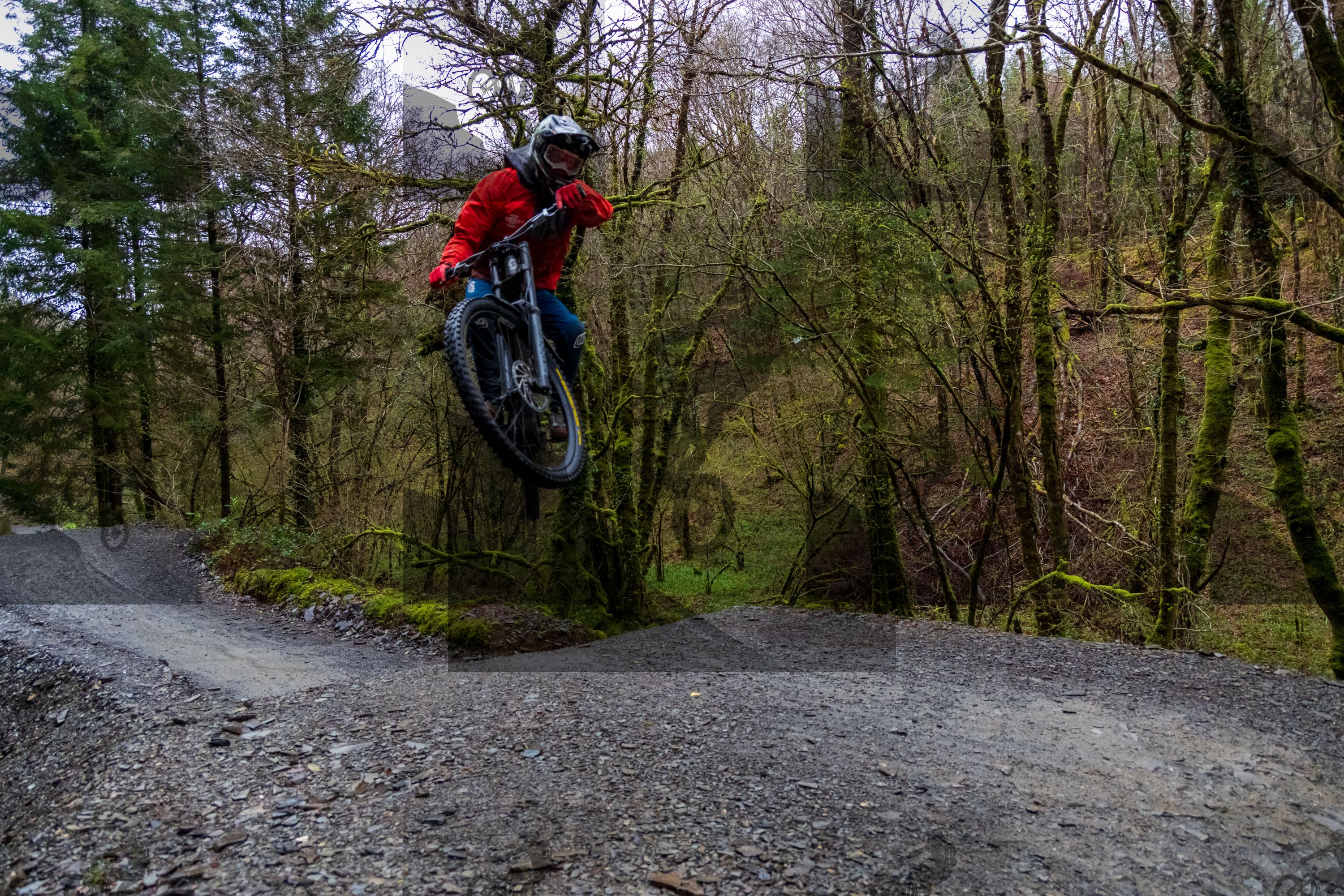 mountain bike photo at Dyfi Bike Park