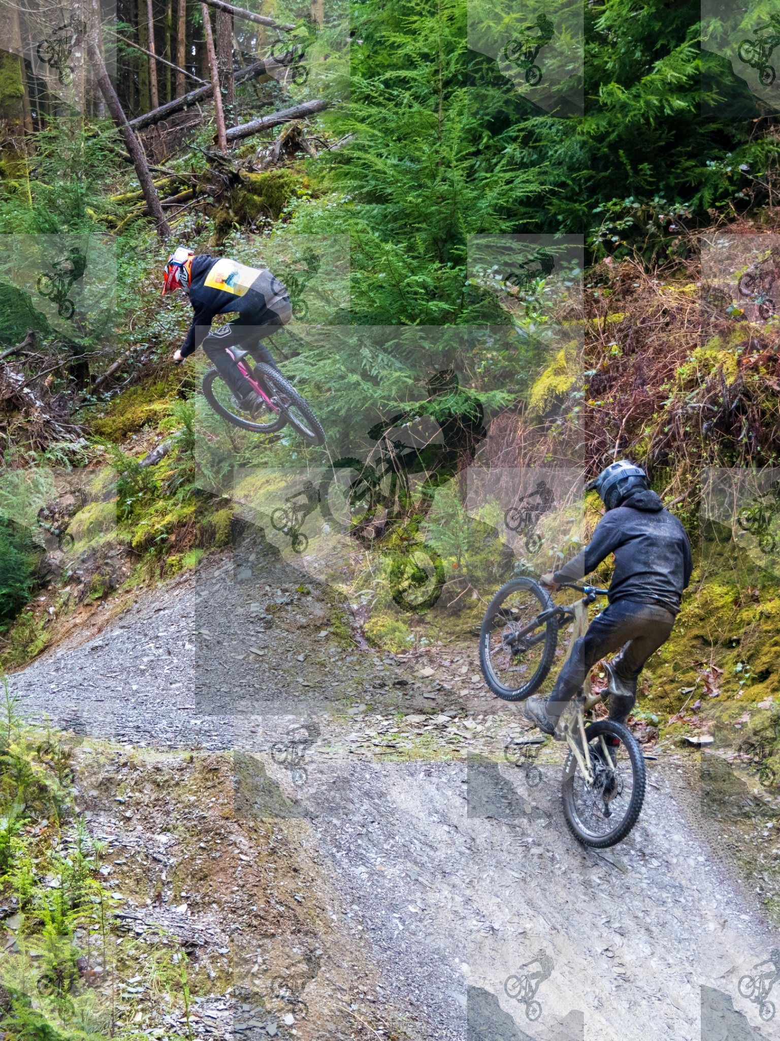 mountain bike photo at Dyfi Bike Park