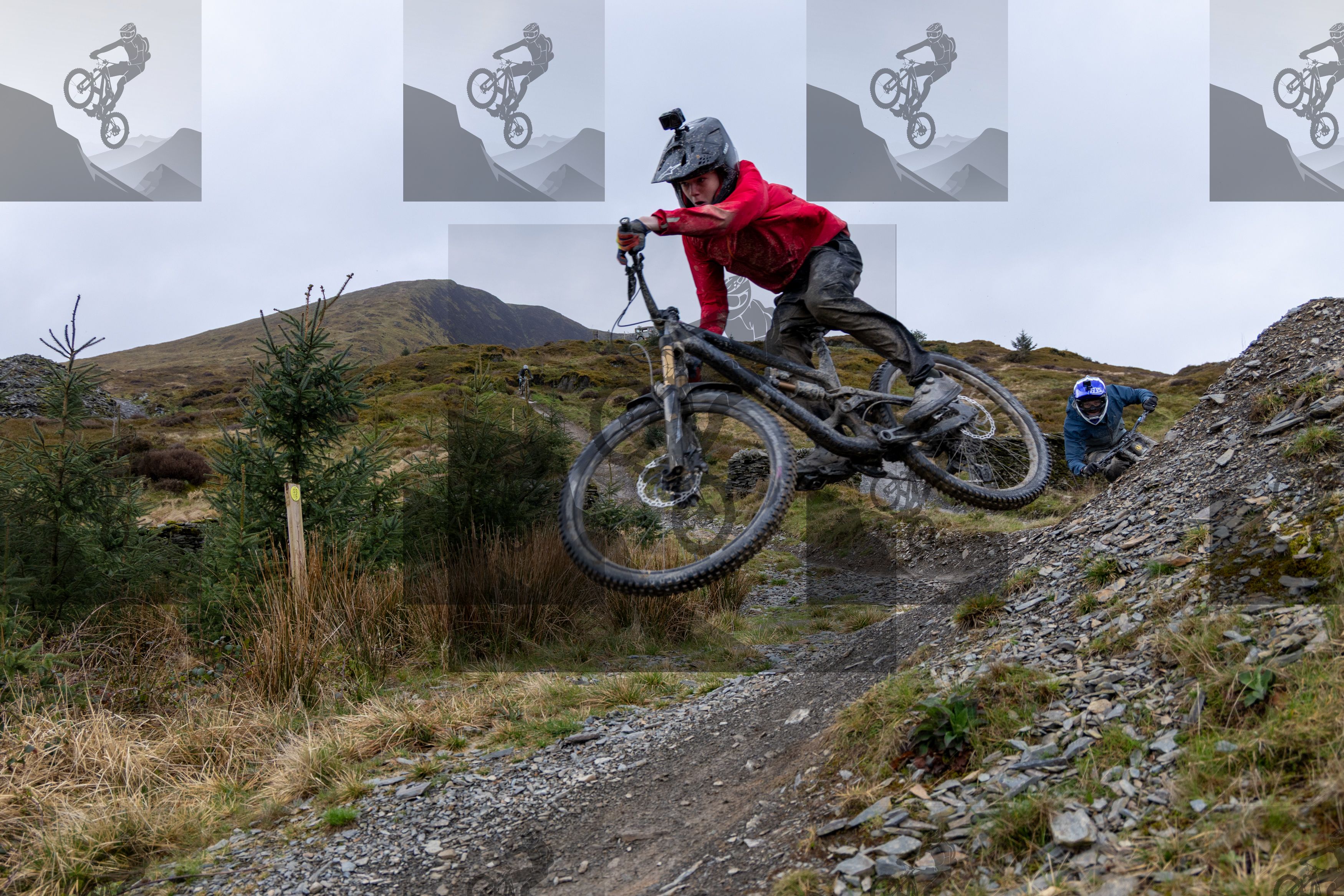mountain bike photo at Dyfi Bike Park