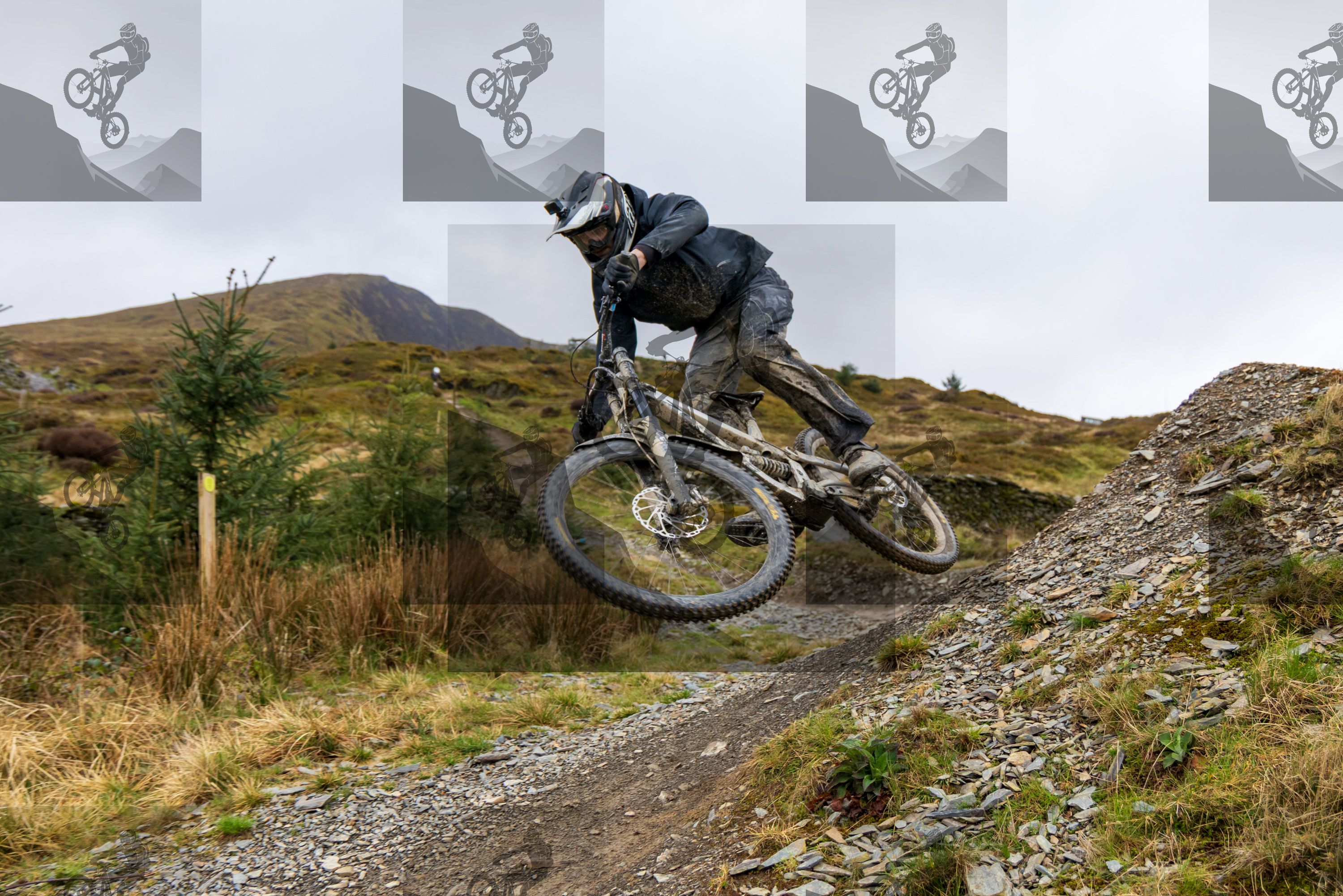 mountain bike photo at Dyfi Bike Park