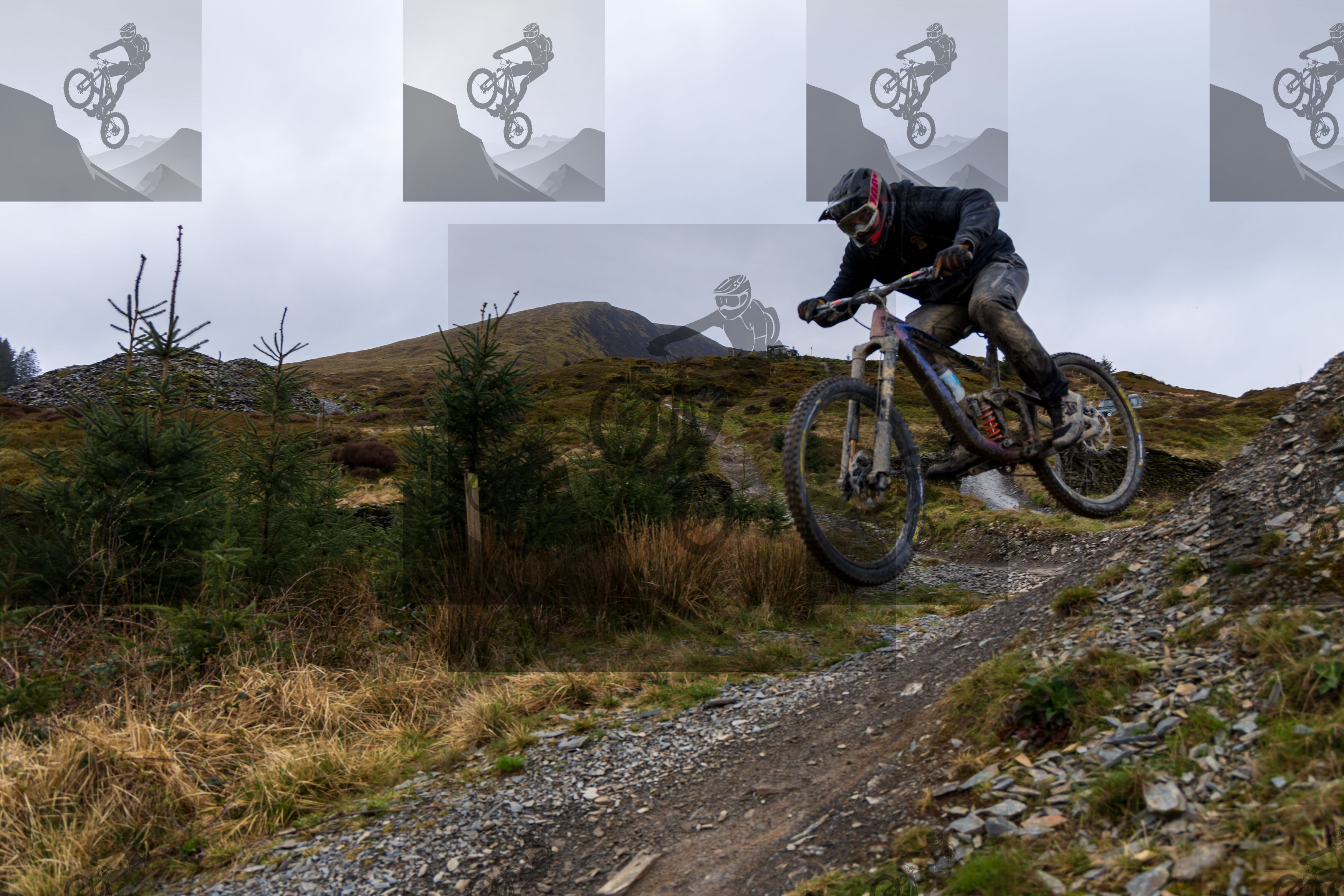 mountain bike photo at Dyfi Bike Park