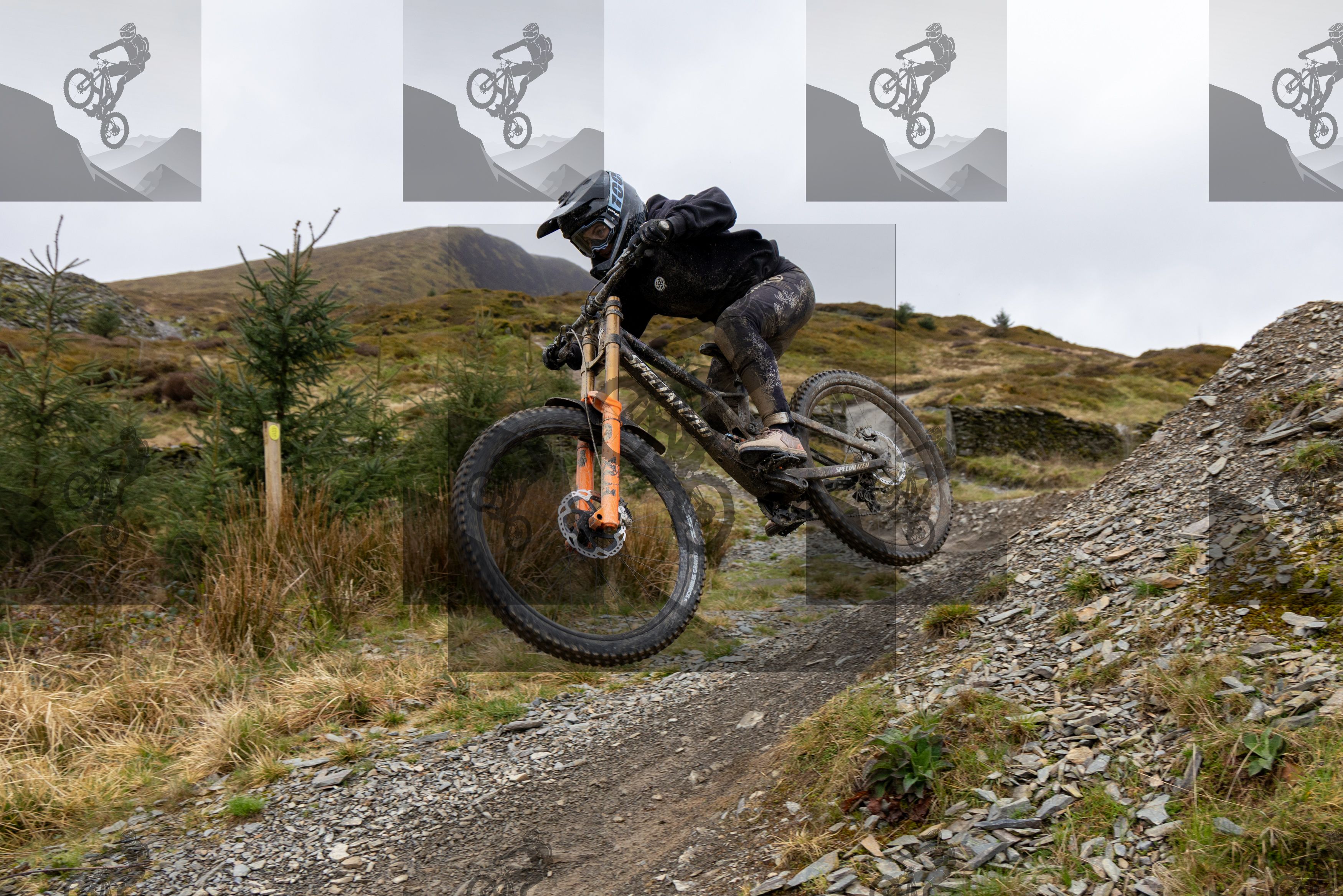 mountain bike photo at Dyfi Bike Park
