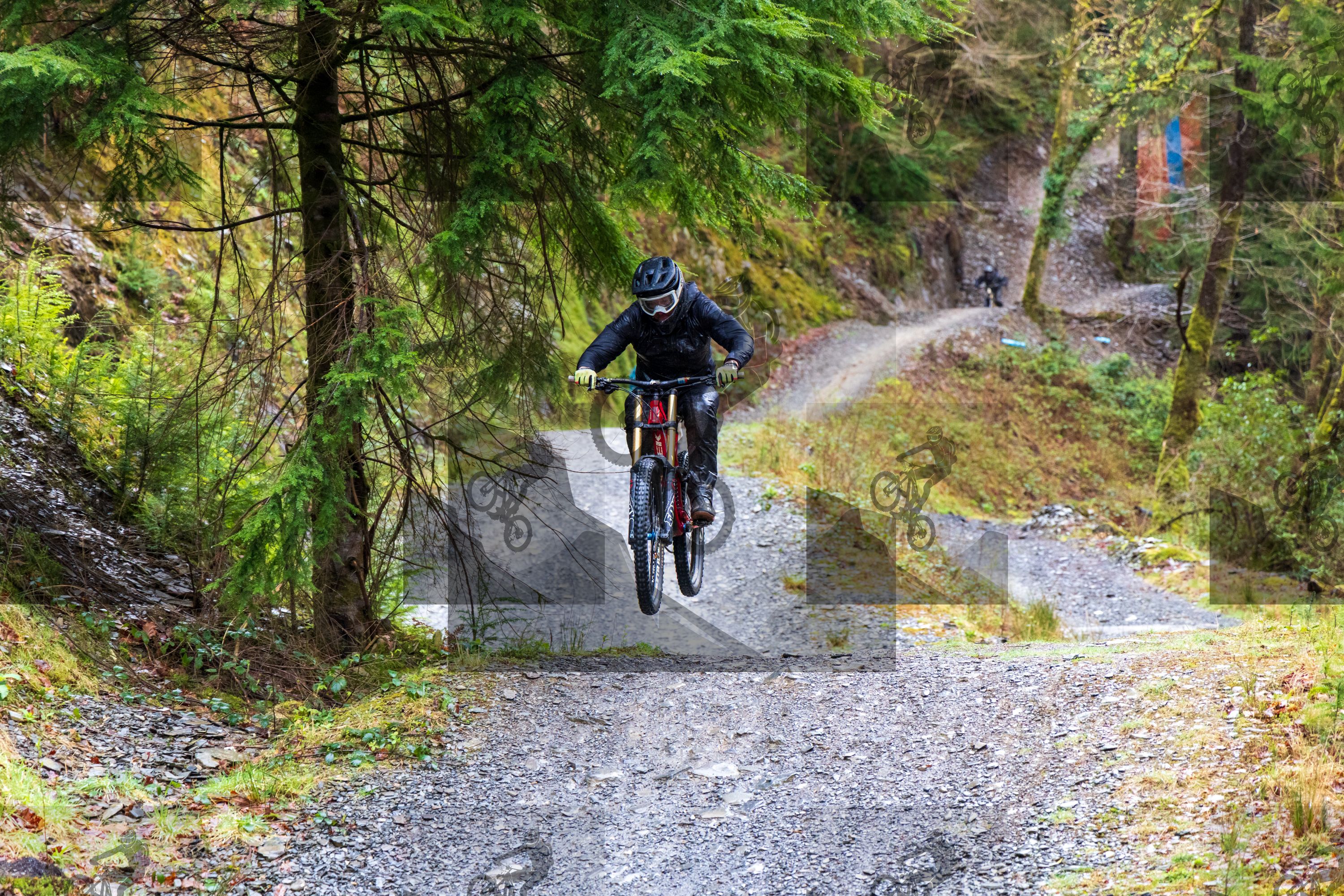 mountain bike photo at Dyfi Bike Park