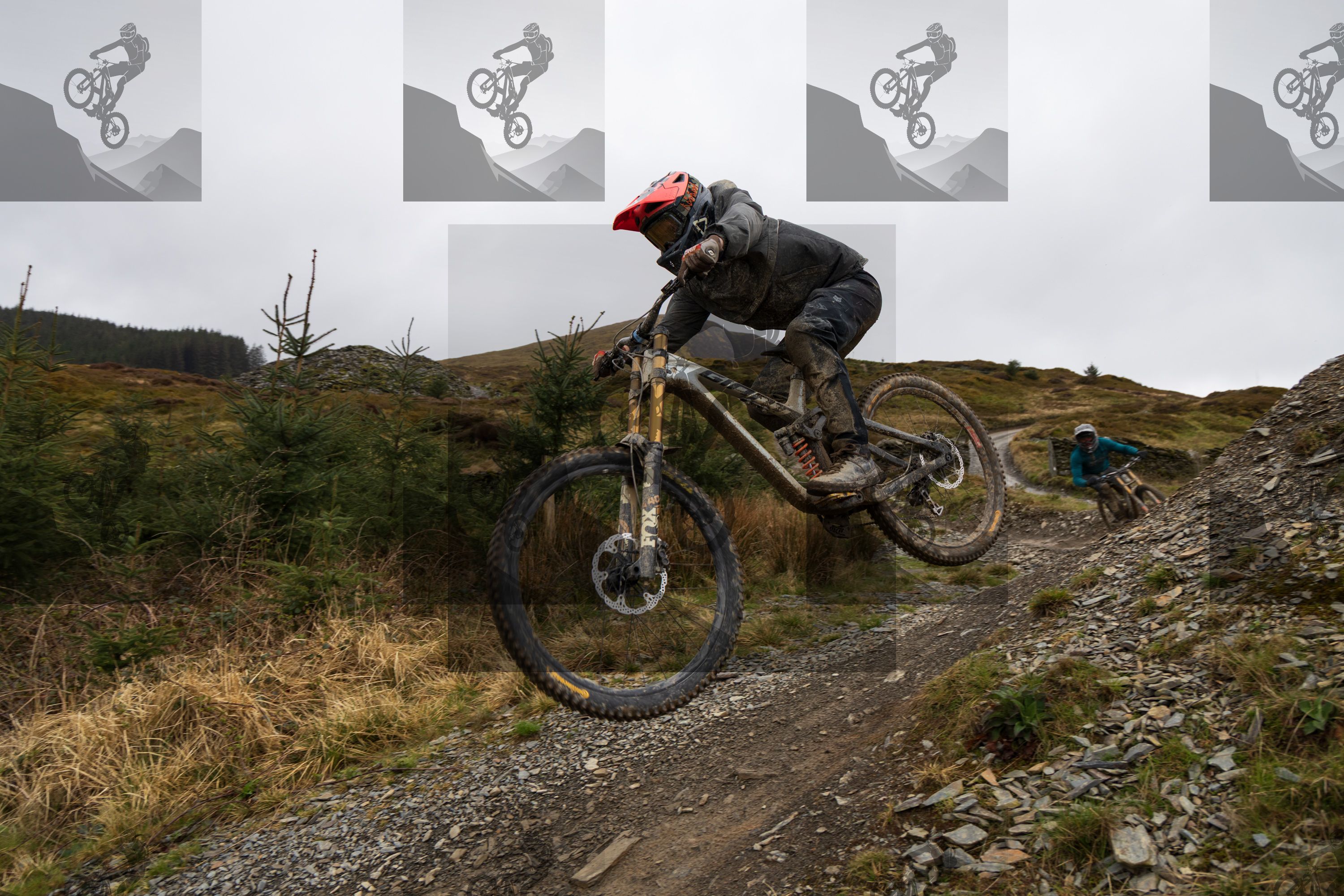 mountain bike photo at Dyfi Bike Park