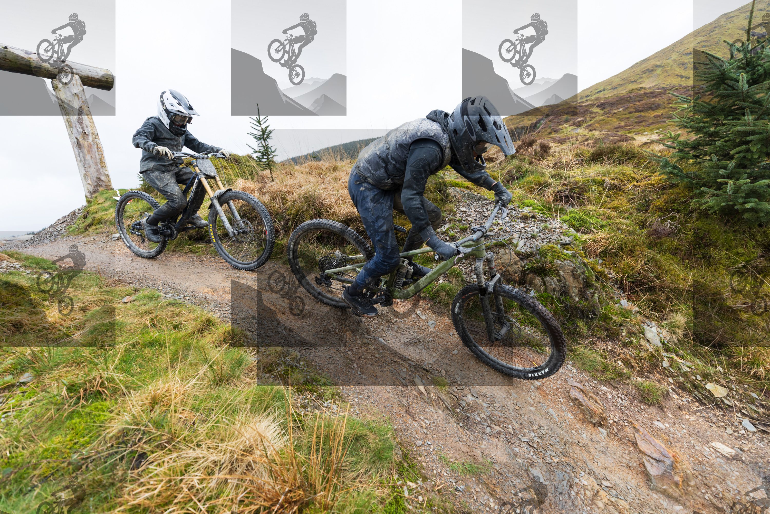 mountain bike photo at Dyfi Bike Park