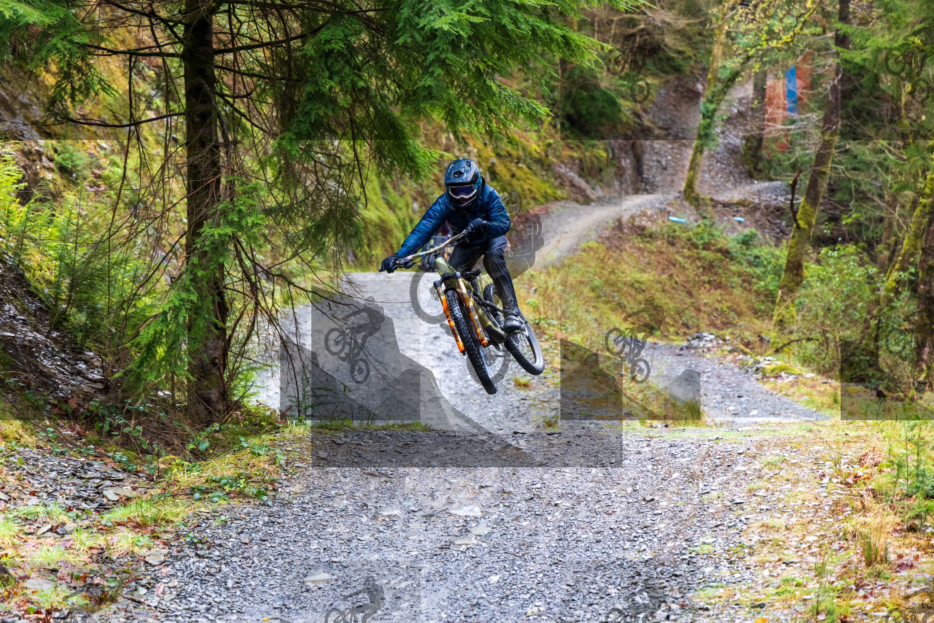 mountain bike photo at Dyfi Bike Park