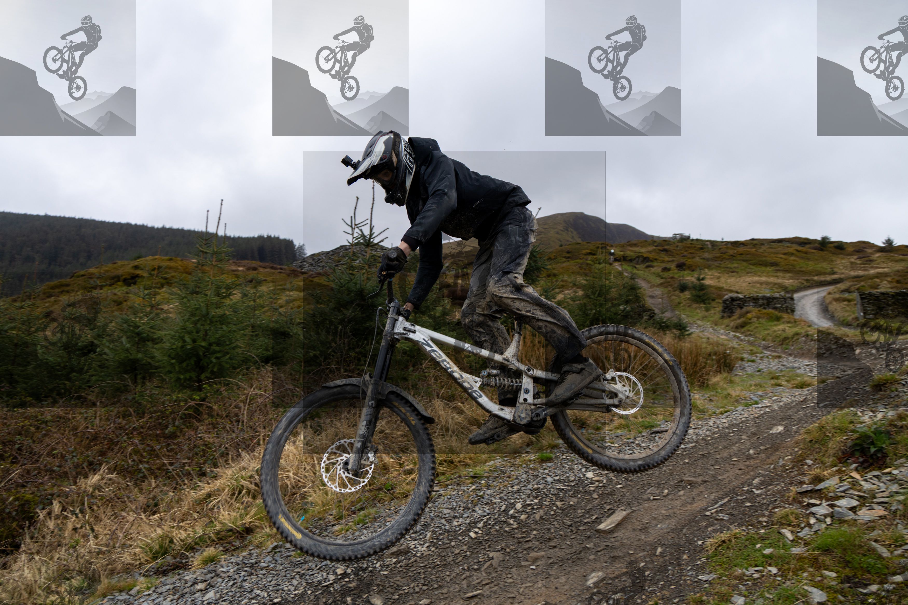 mountain bike photo at Dyfi Bike Park