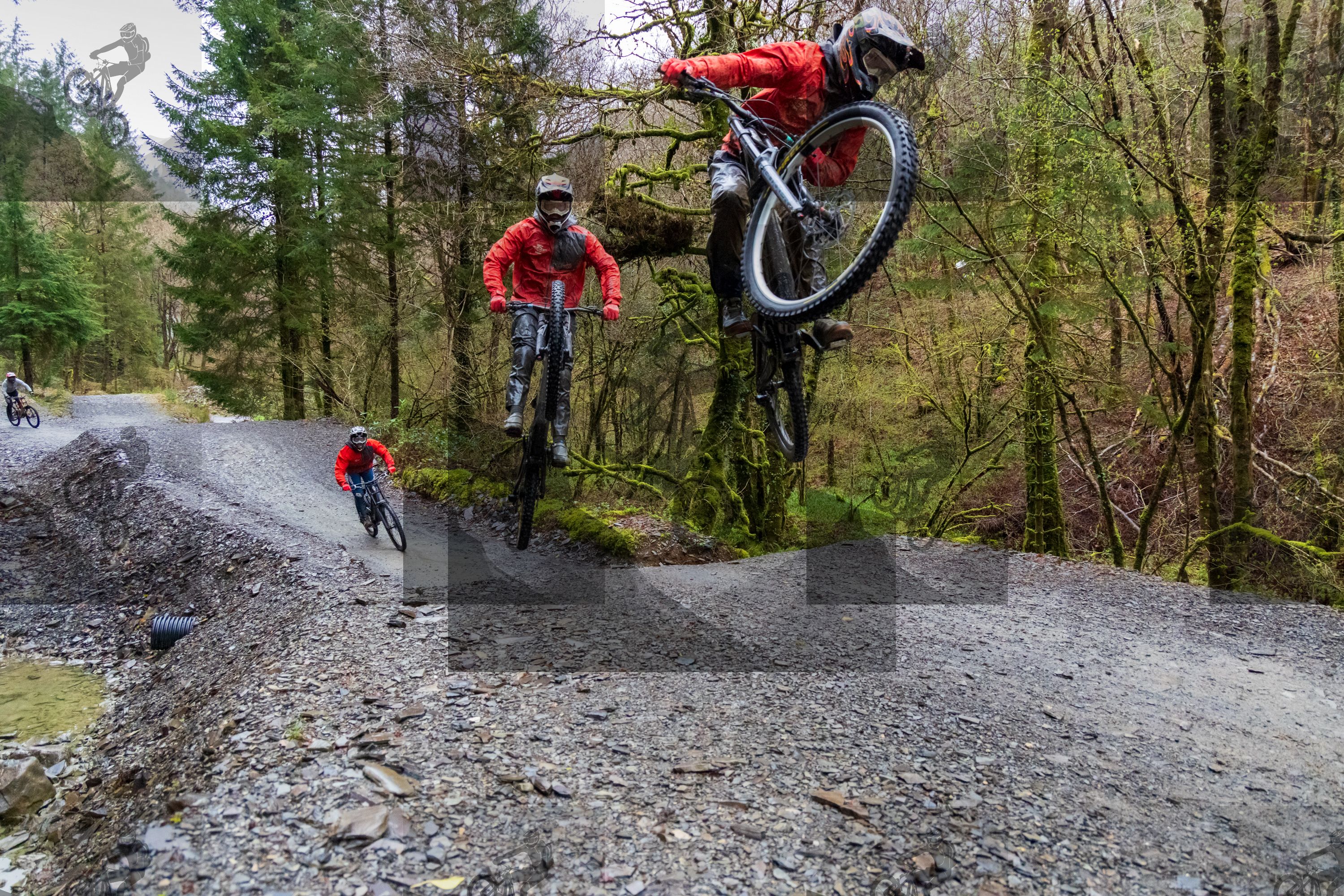 mountain bike photo at Dyfi Bike Park