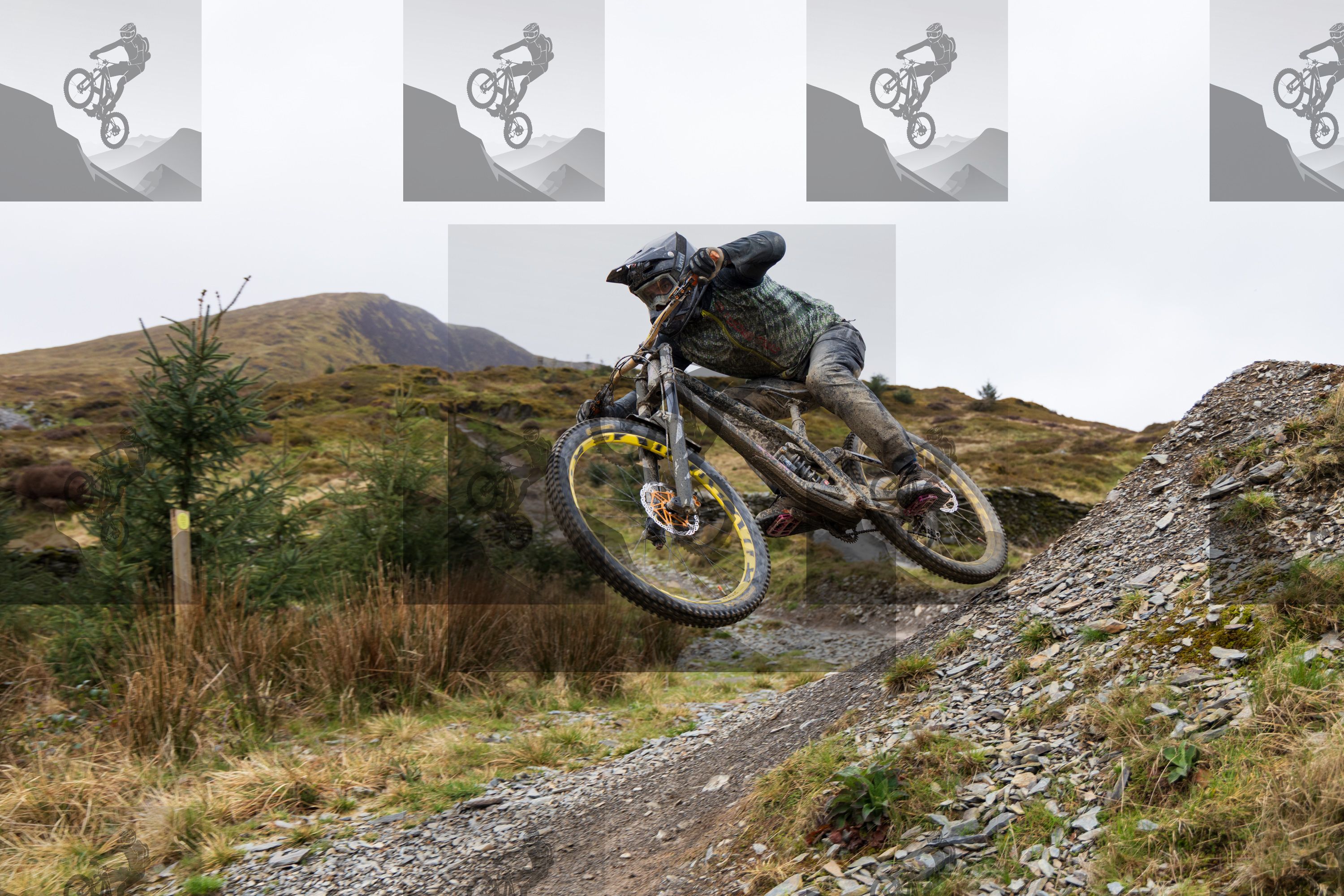 mountain bike photo at Dyfi Bike Park
