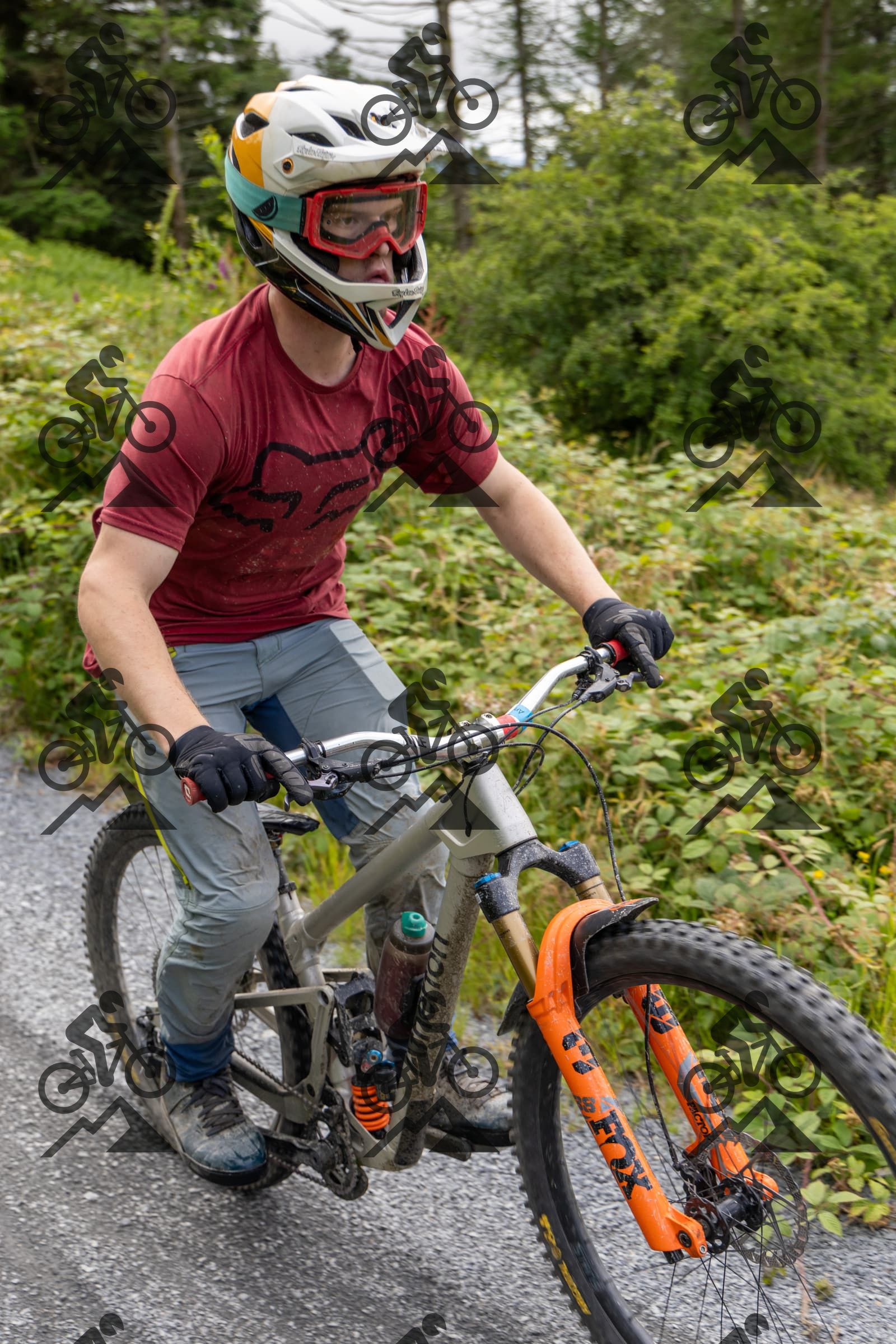 mountain bike photo at Antur Stiniog