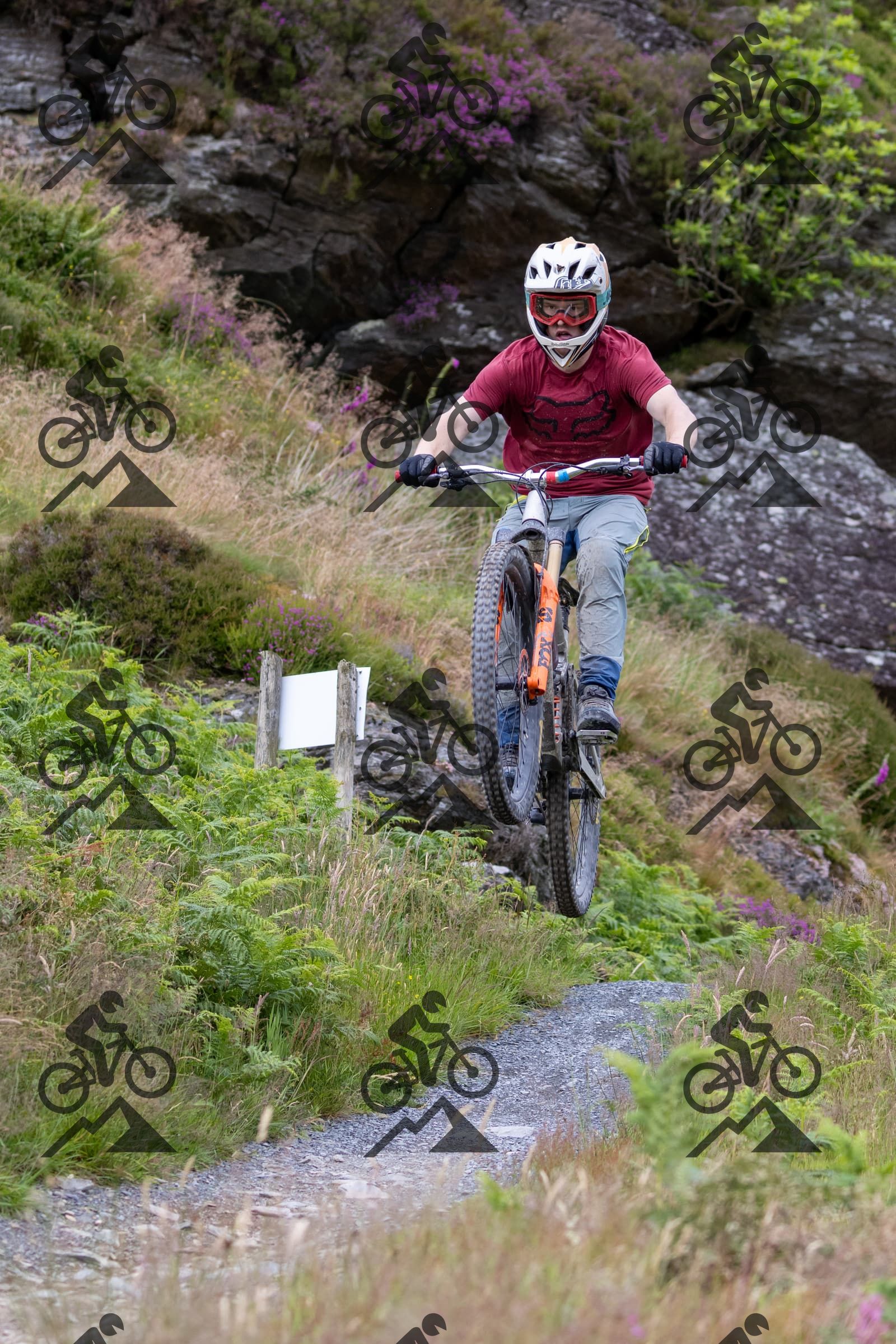 mountain bike photo at Antur Stiniog