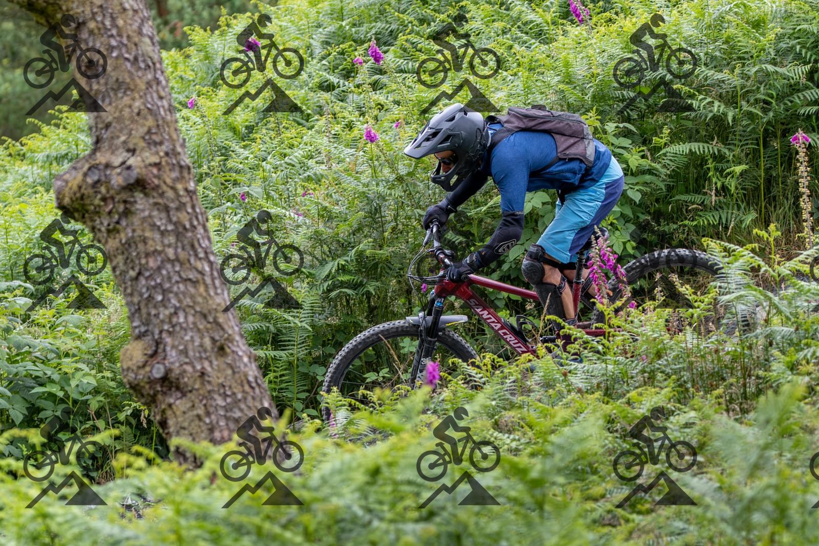 mountain bike photo at Antur Stiniog