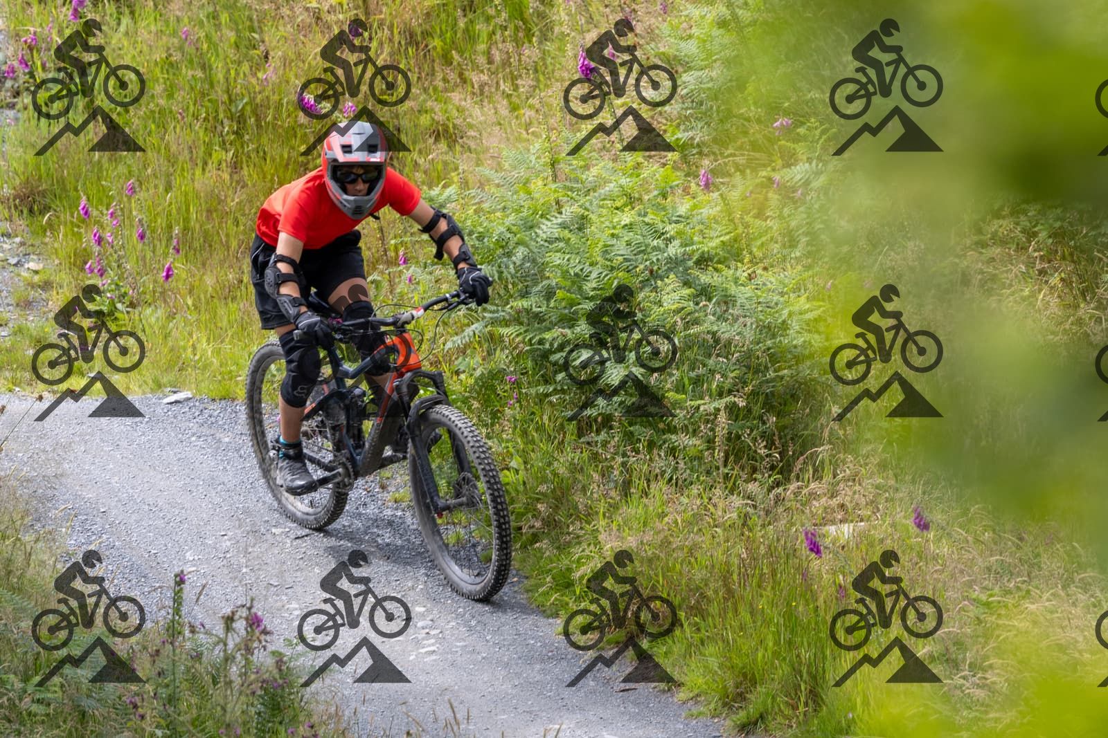 mountain bike photo at Antur Stiniog
