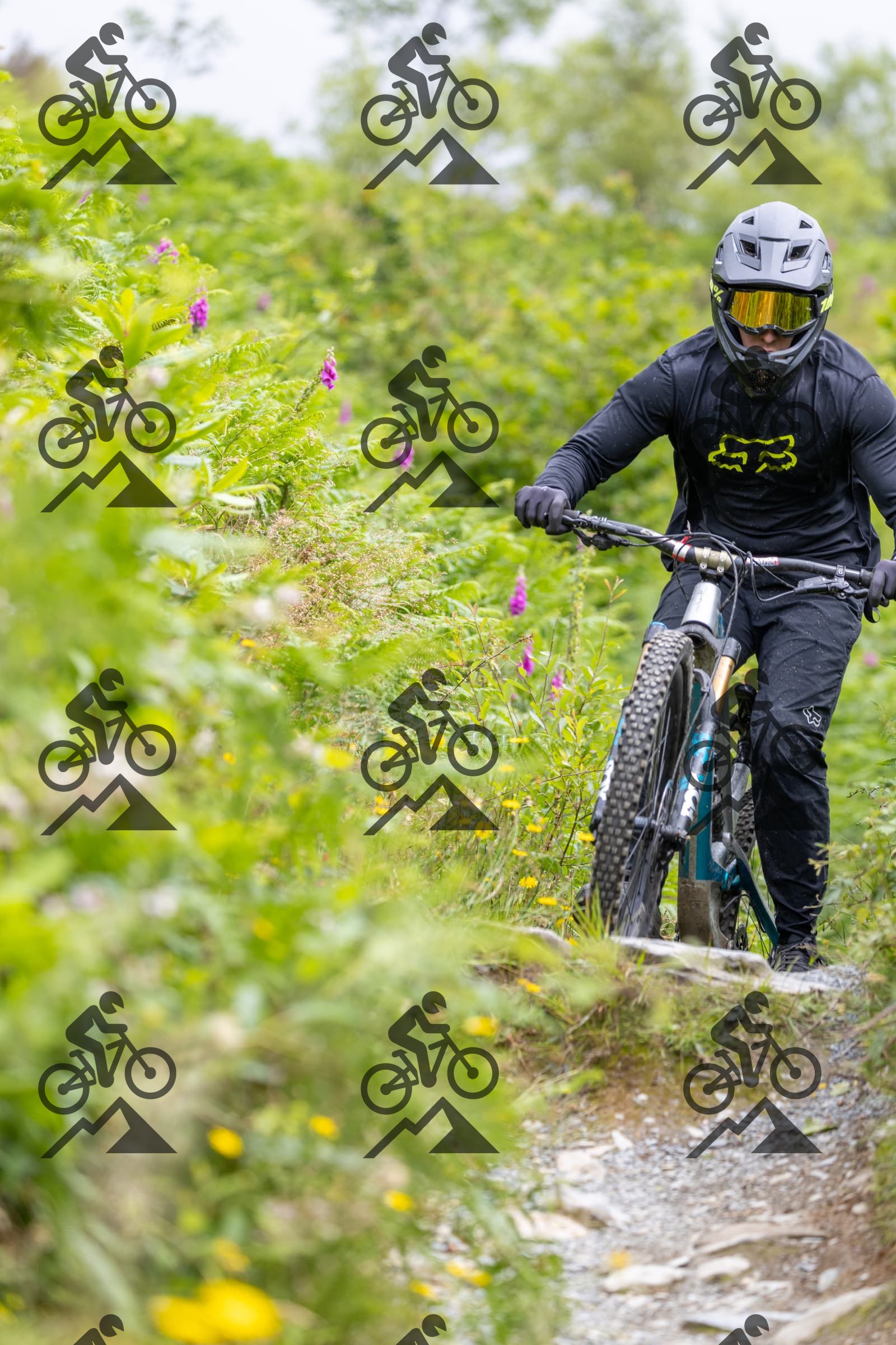 mountain bike photo at Antur Stiniog