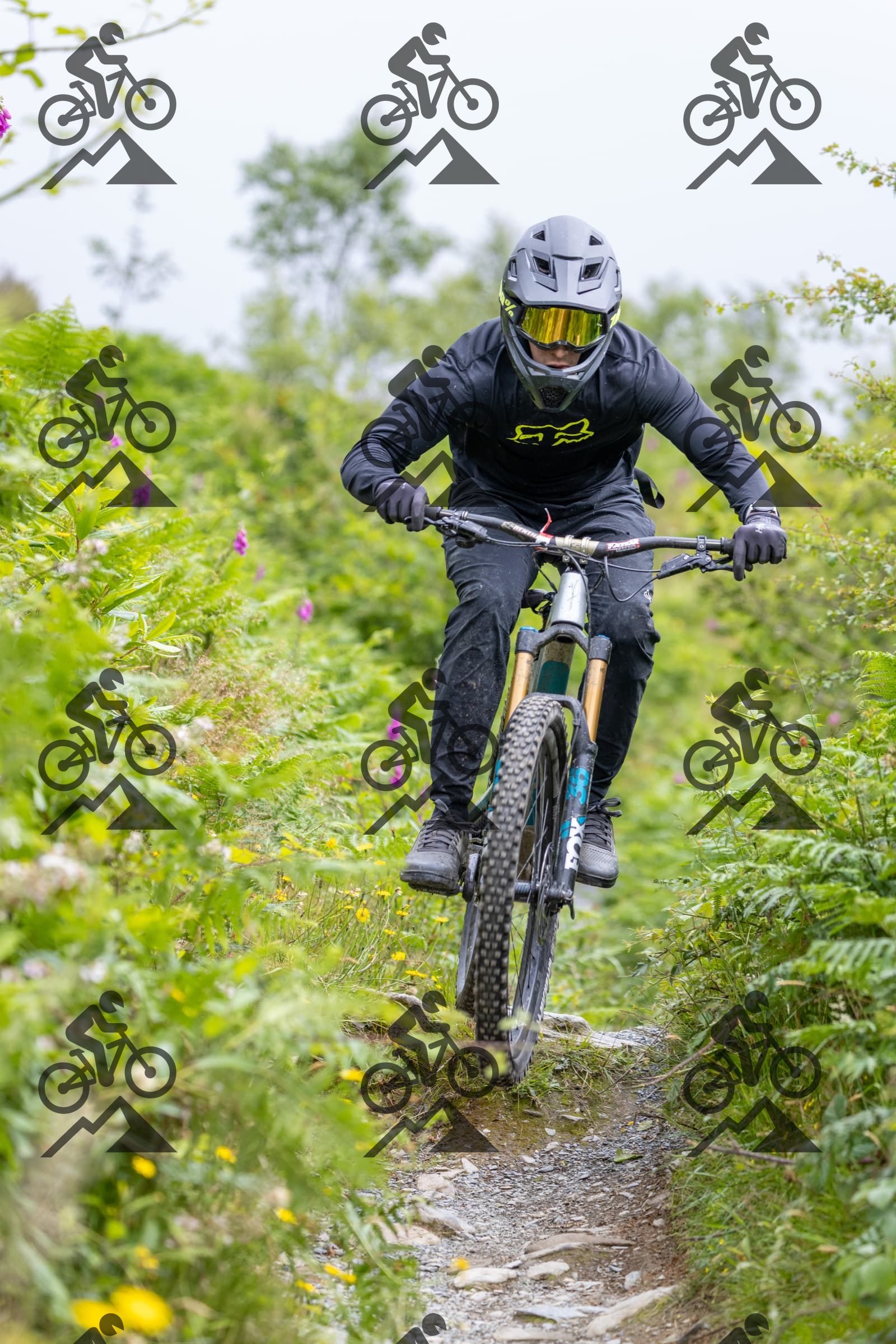mountain bike photo at Antur Stiniog
