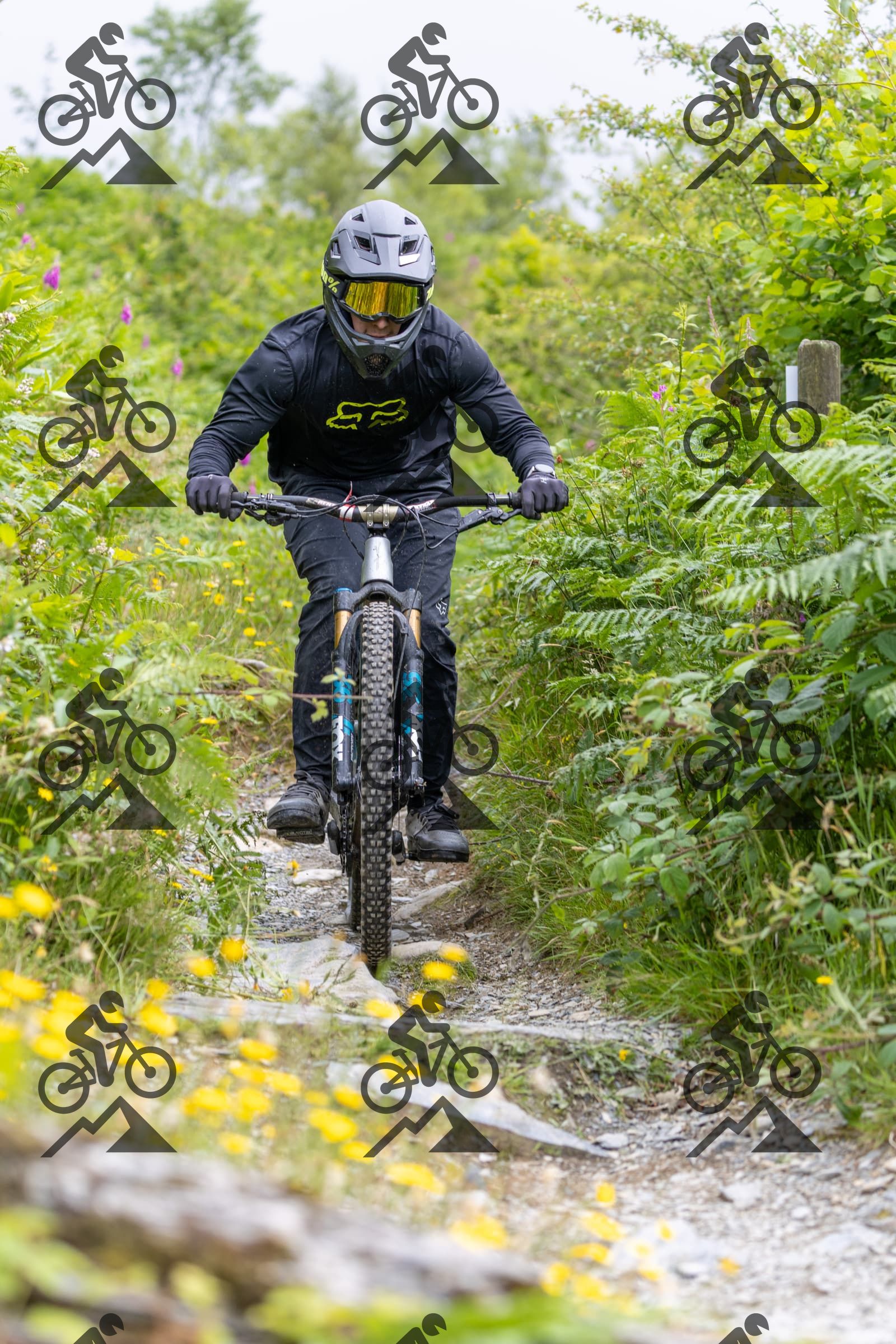 mountain bike photo at Antur Stiniog