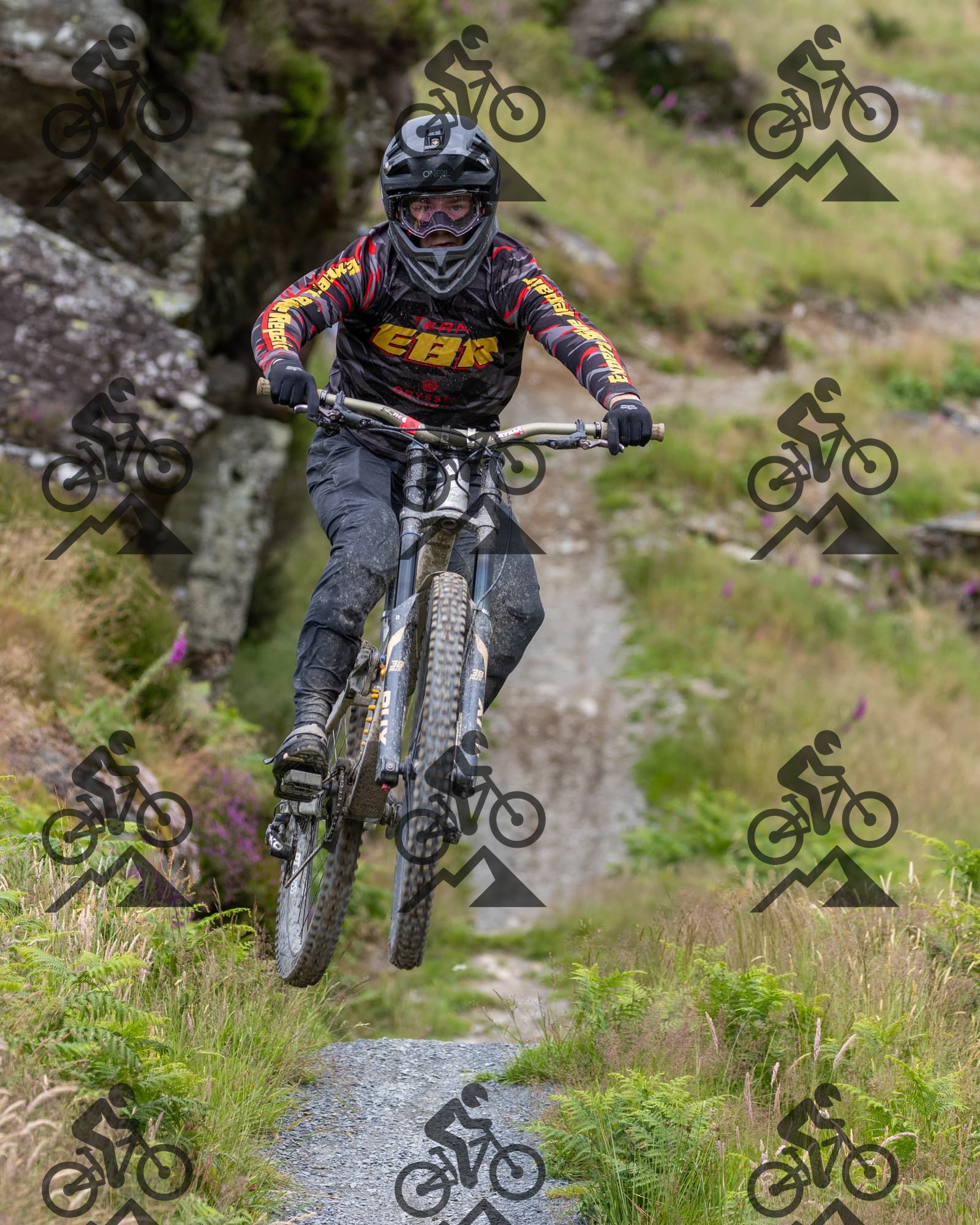 mountain bike photo at Antur Stiniog