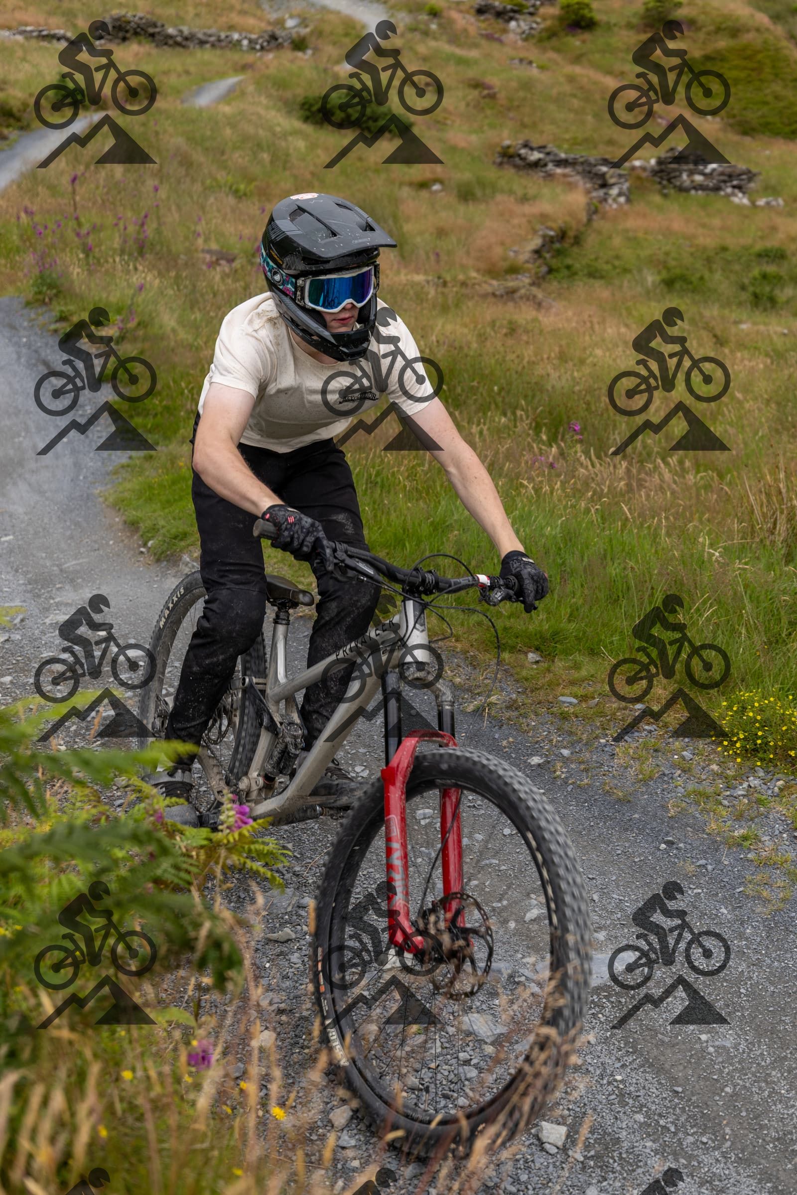 mountain bike photo at Antur Stiniog