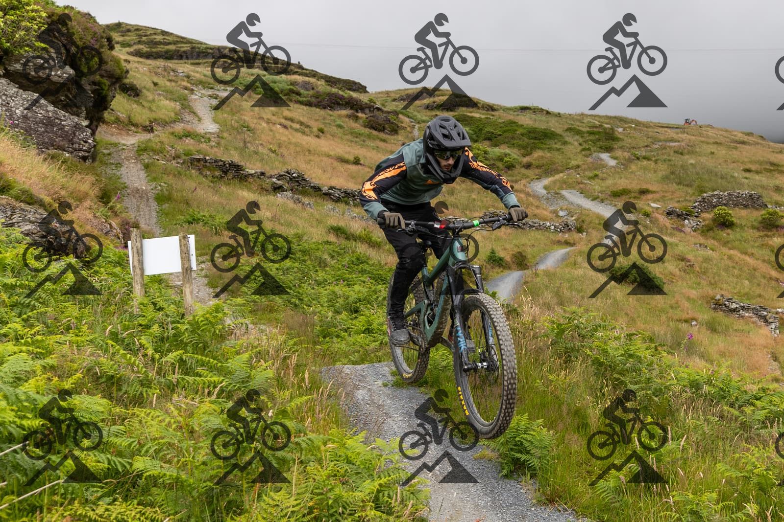 mountain bike photo at Antur Stiniog