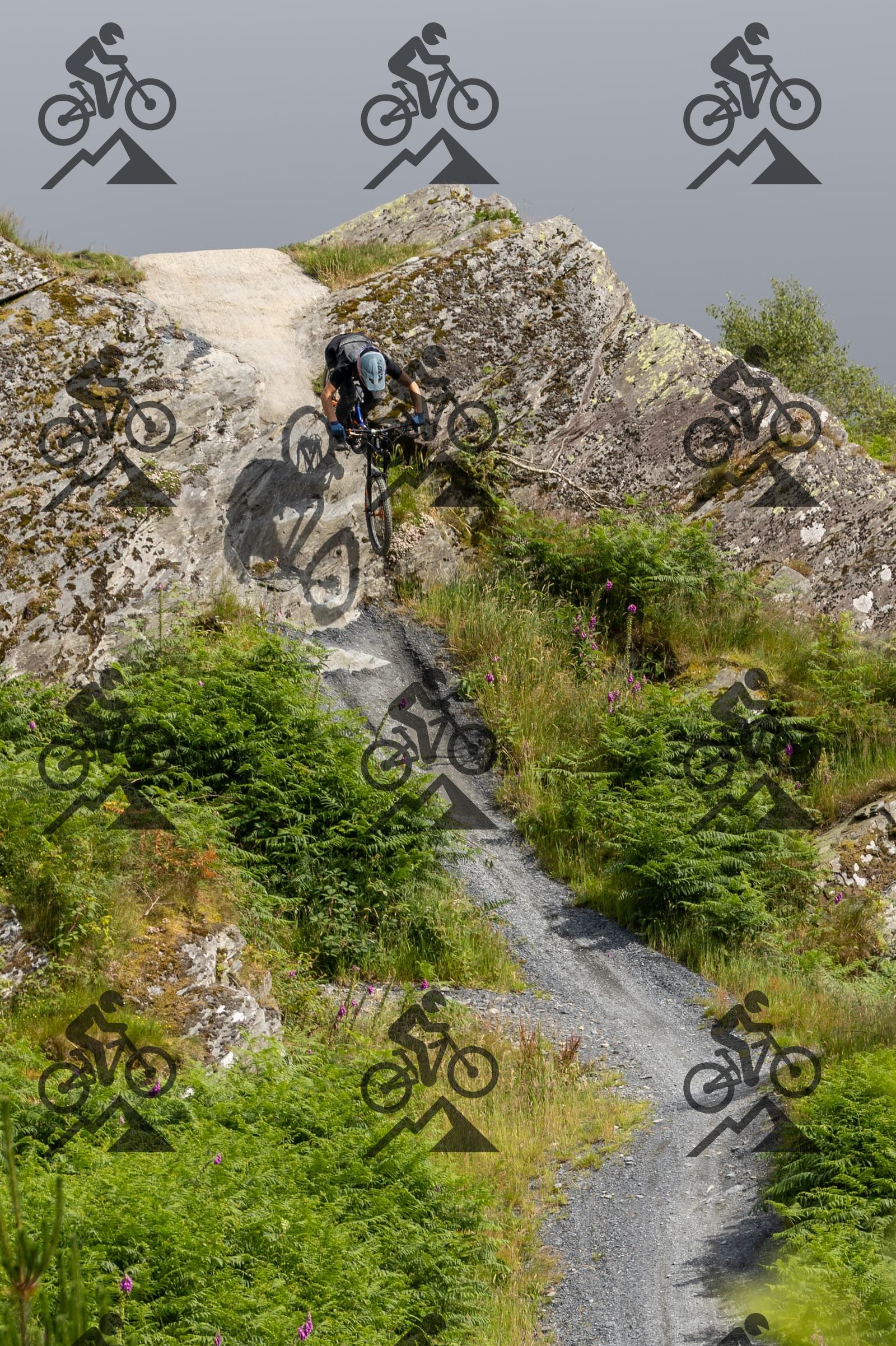 mountain bike photo at Antur Stiniog